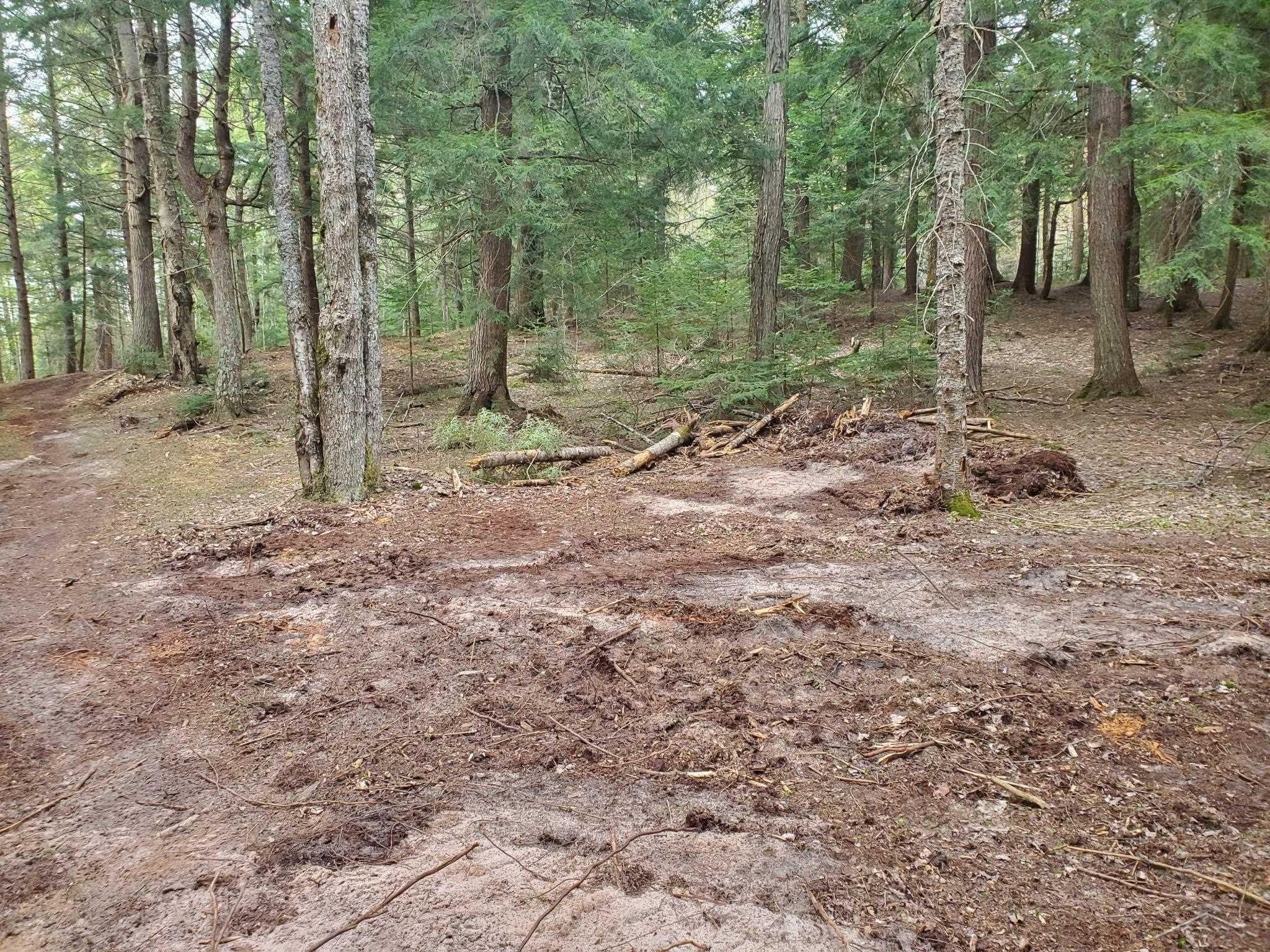Old Plank Road, MI 49895 — Photo 2