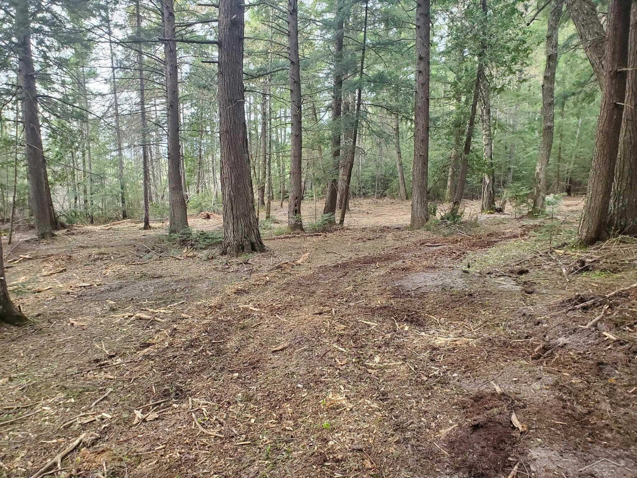 Old Plank Road, MI 49895 — Photo 4