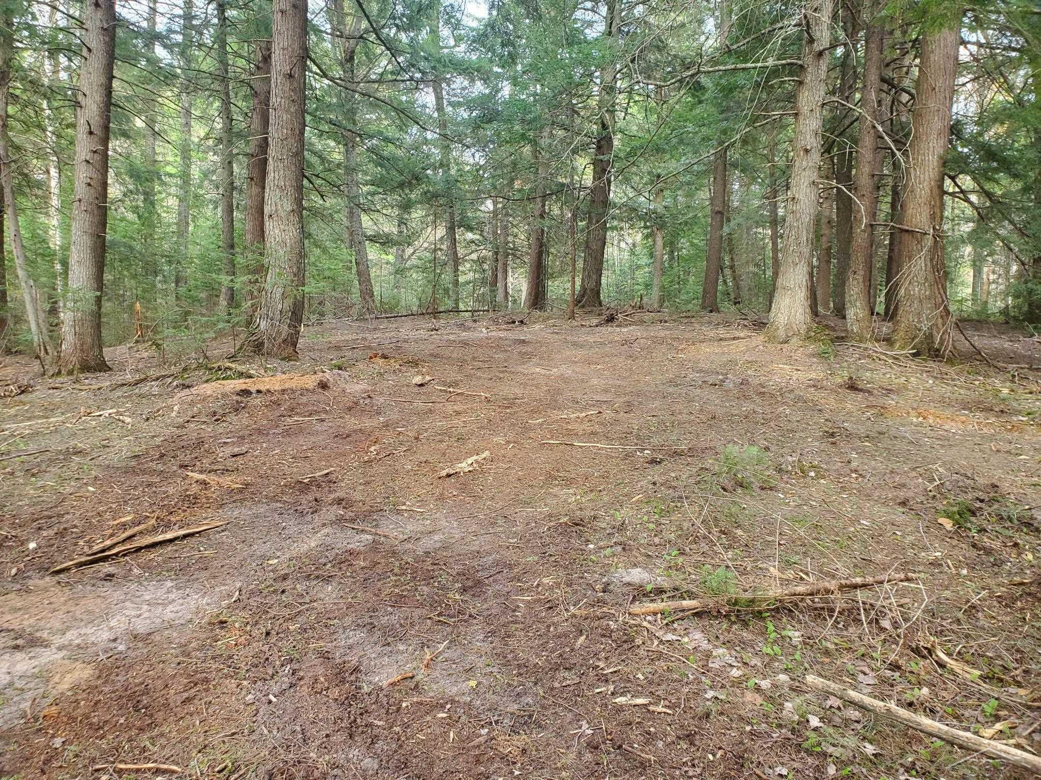 Old Plank Road, MI 49895 — Photo 5