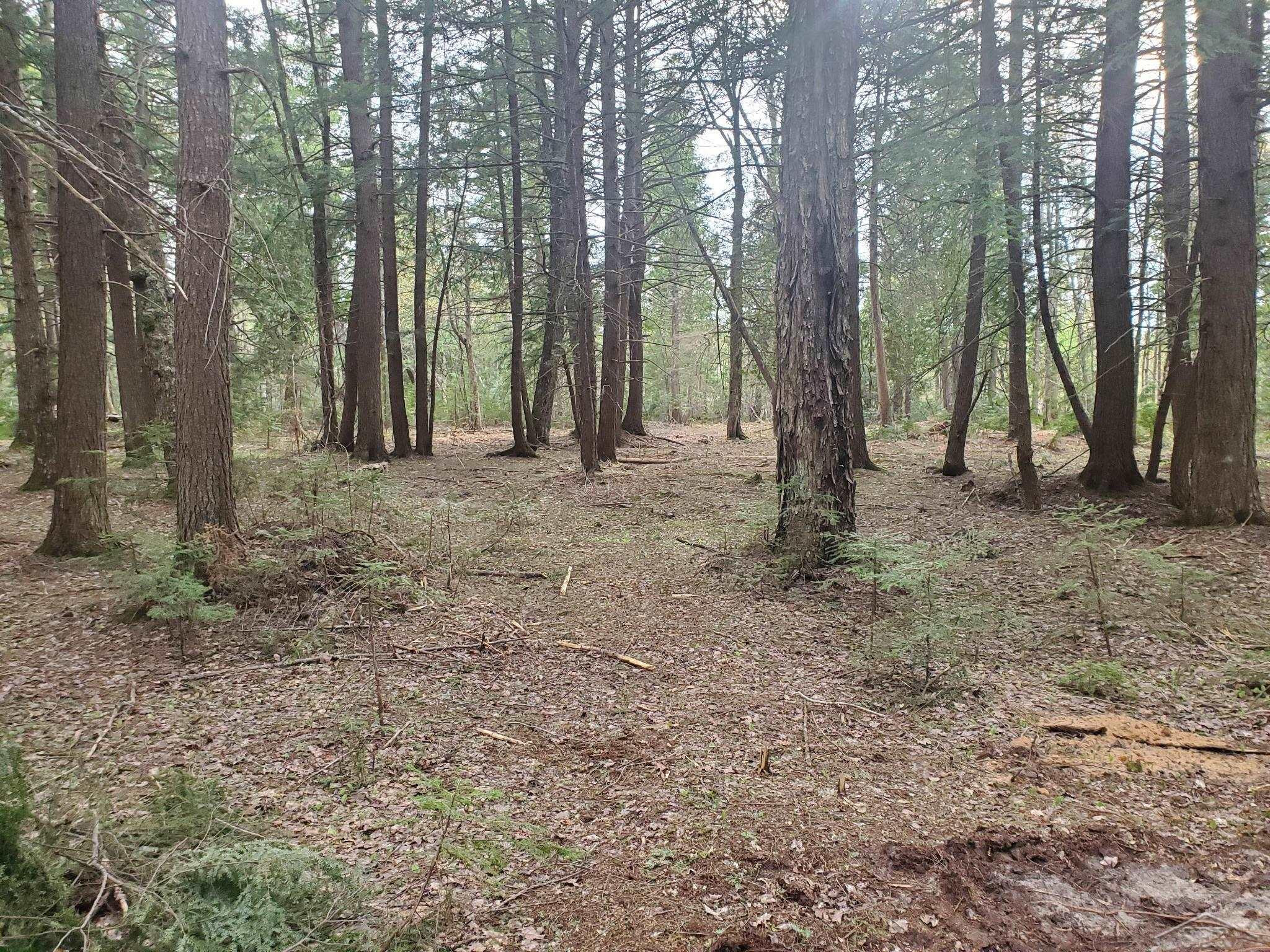 Old Plank Road, MI 49895 — Photo 6