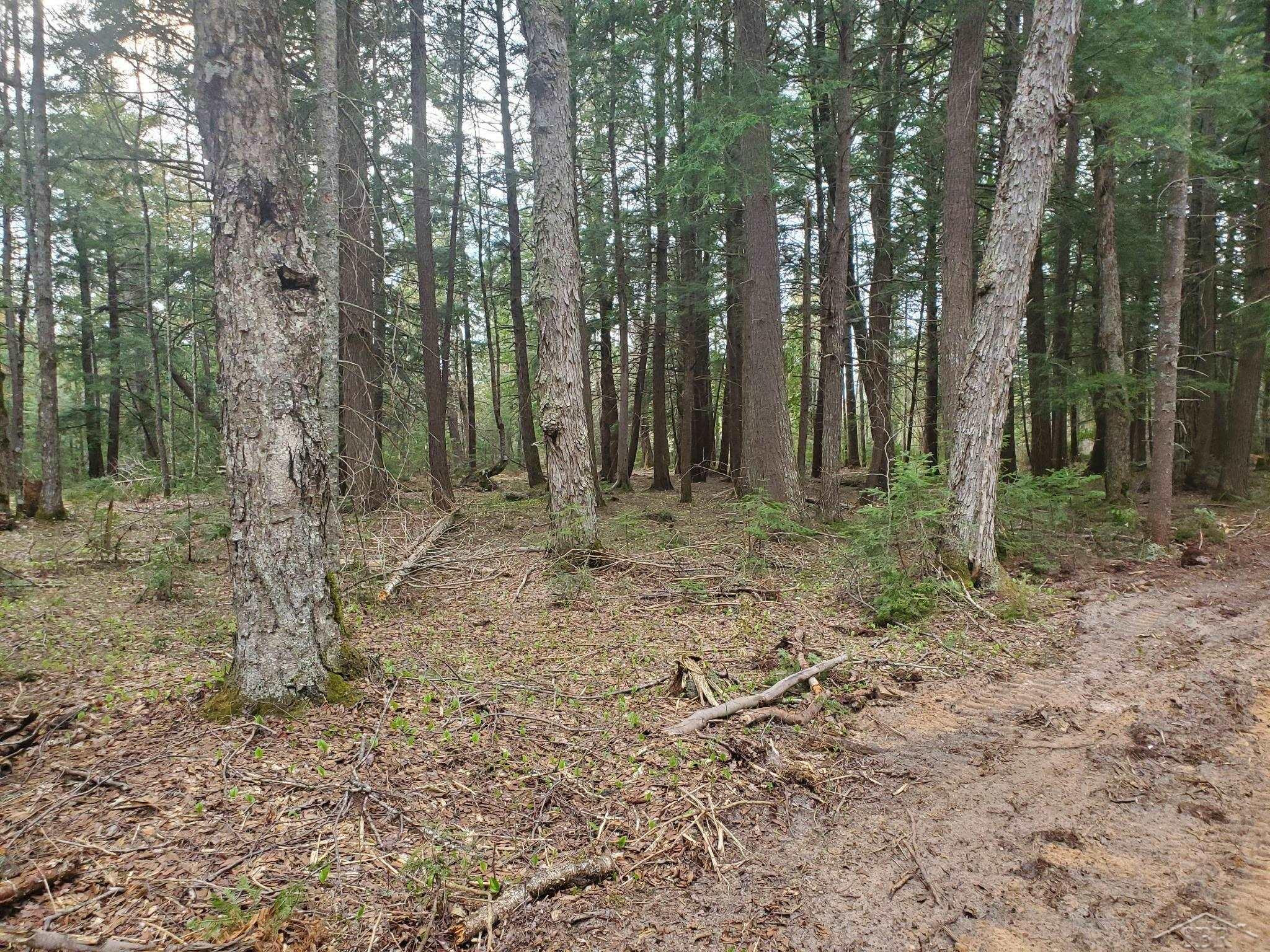 Old Plank Road, MI 49895 — Photo 7