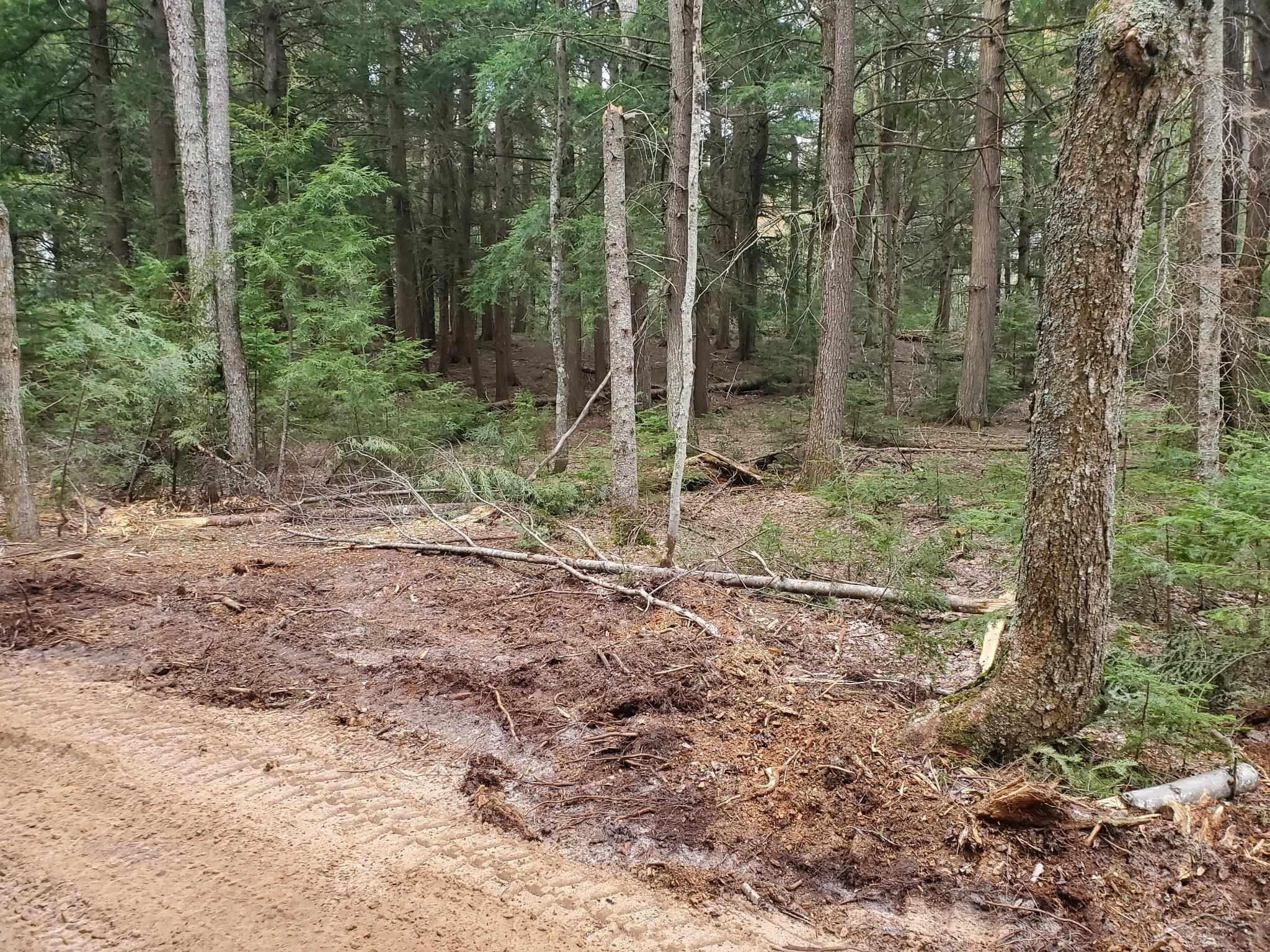 Old Plank Road, MI 49895 — Photo 8