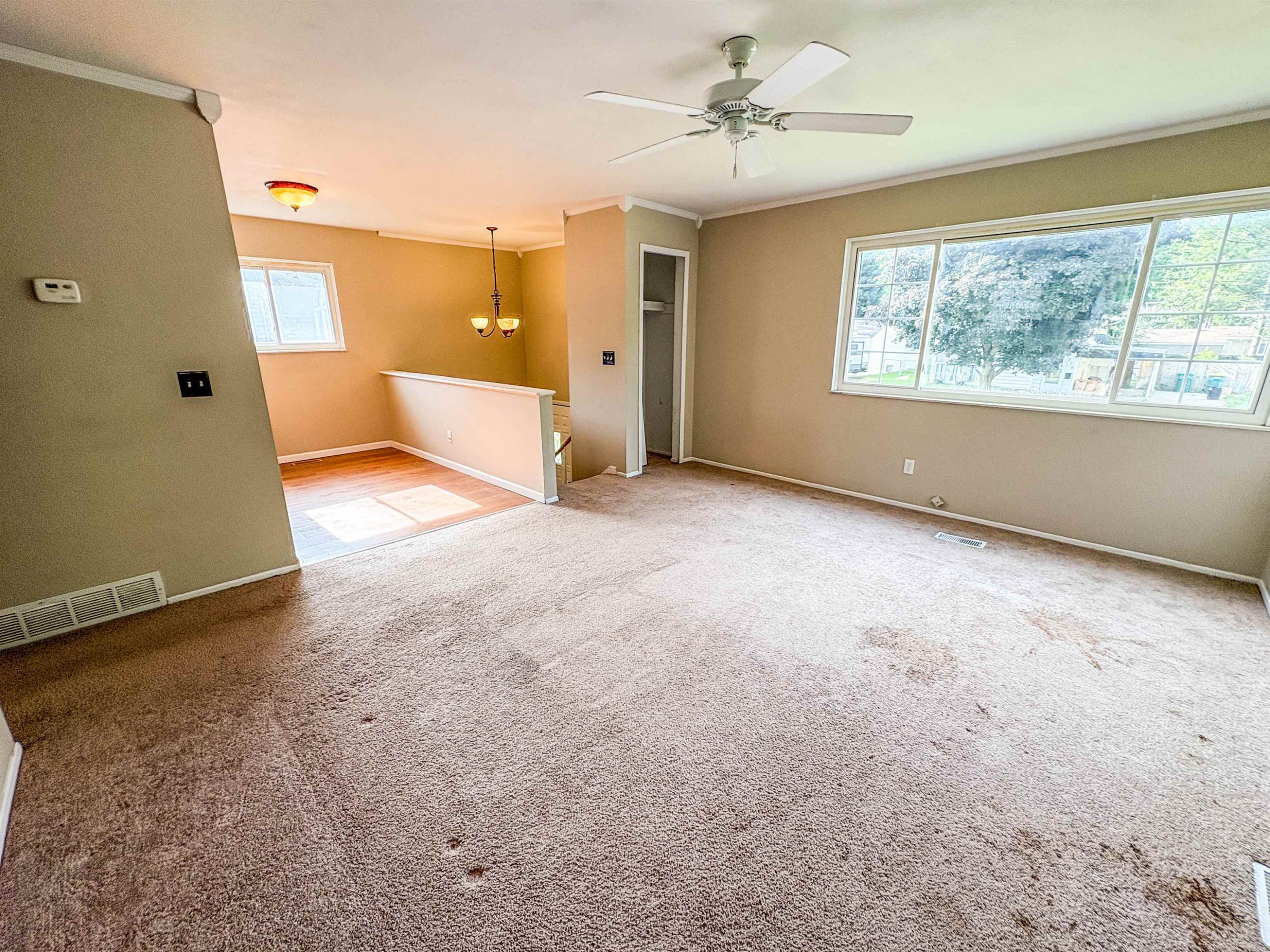 343 Beach Street, Mount Morris, MI 48458 — Photo 5