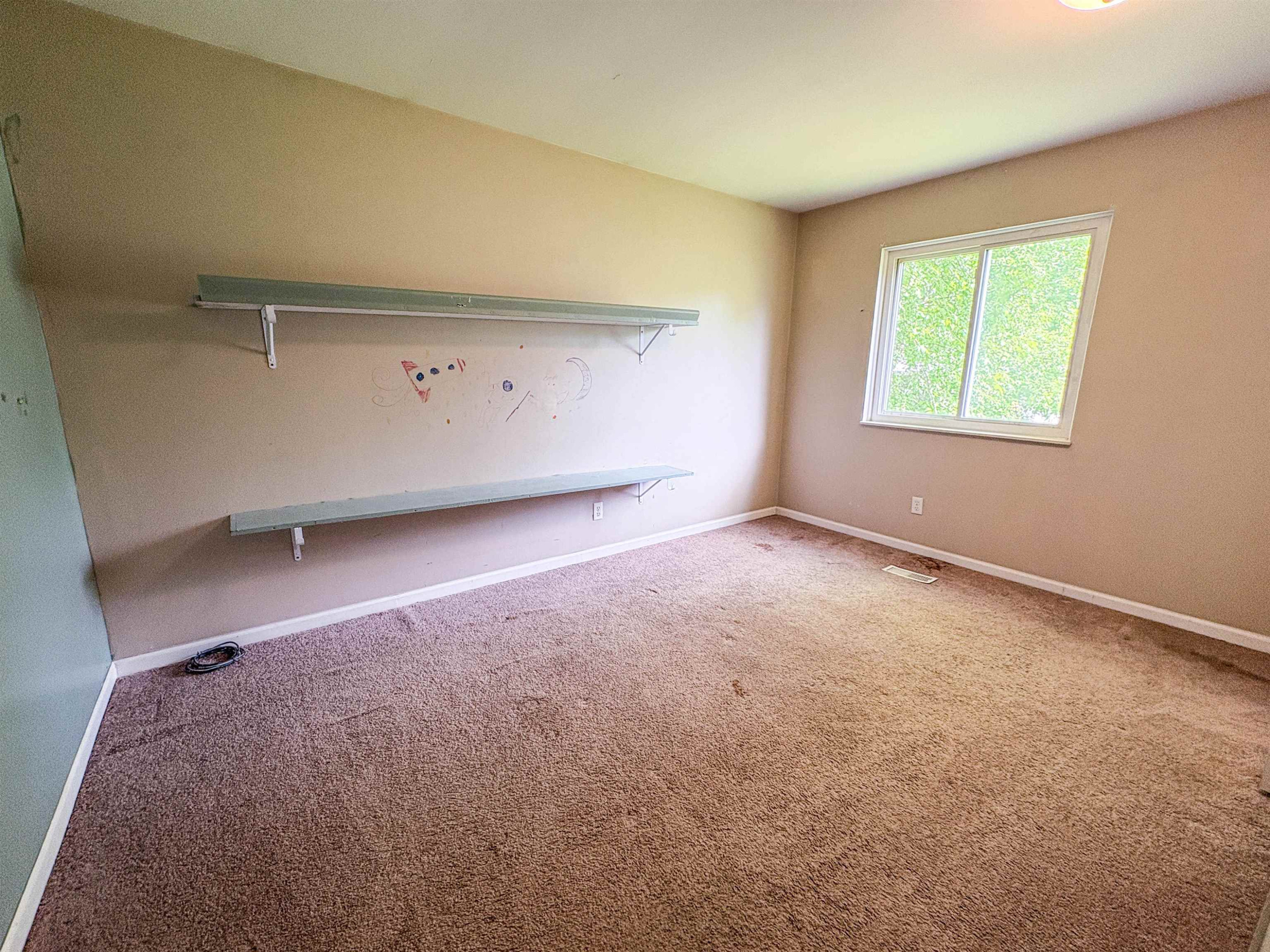 343 Beach Street, Mount Morris, MI 48458 — Photo 11