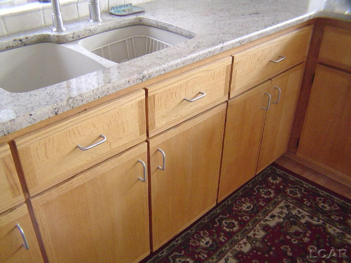 6000 Rays Drive, Onsted, MI 49265 — Photo 11