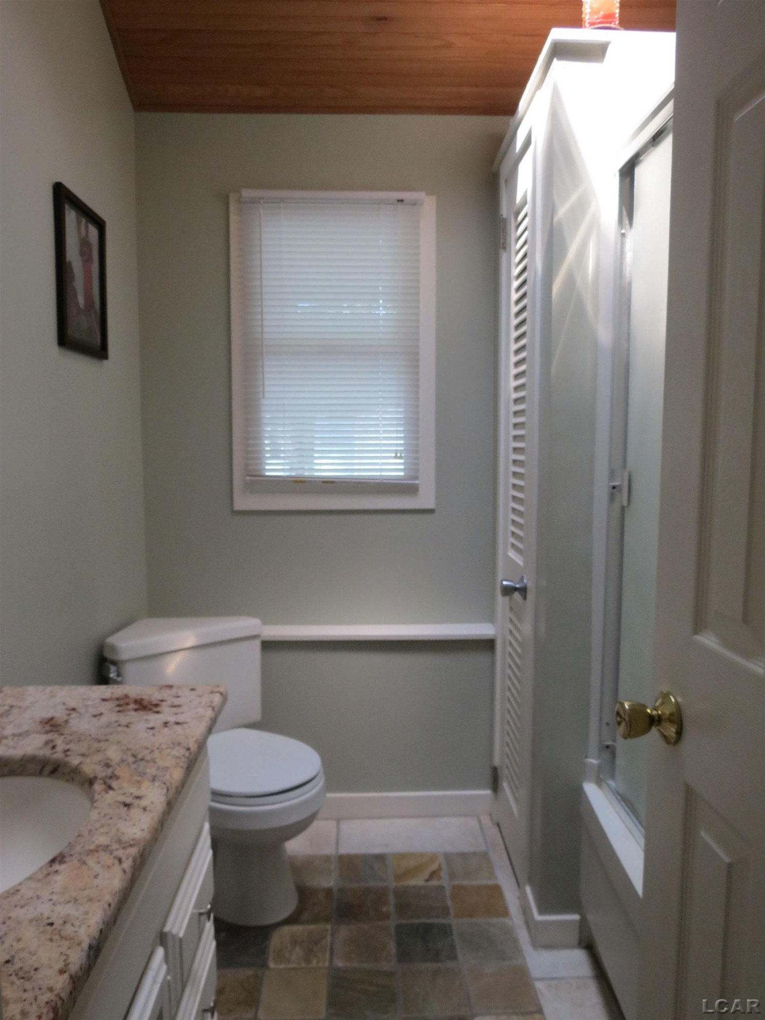 6000 Rays Drive, Onsted, MI 49265 — Photo 20