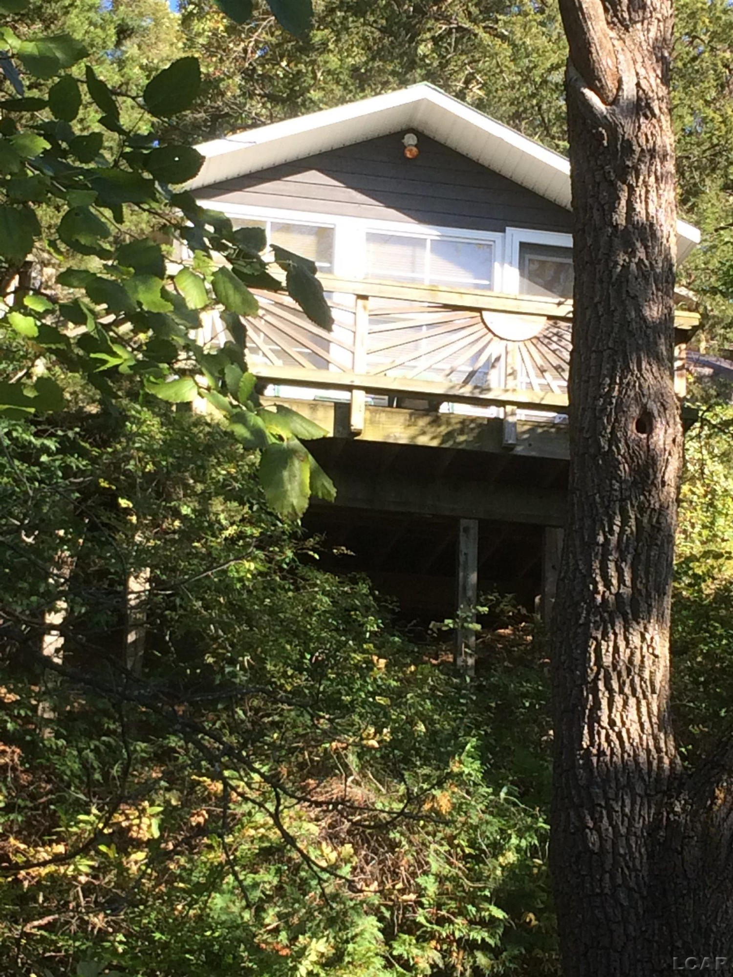 6000 Rays Drive, Onsted, MI 49265 — Photo 21