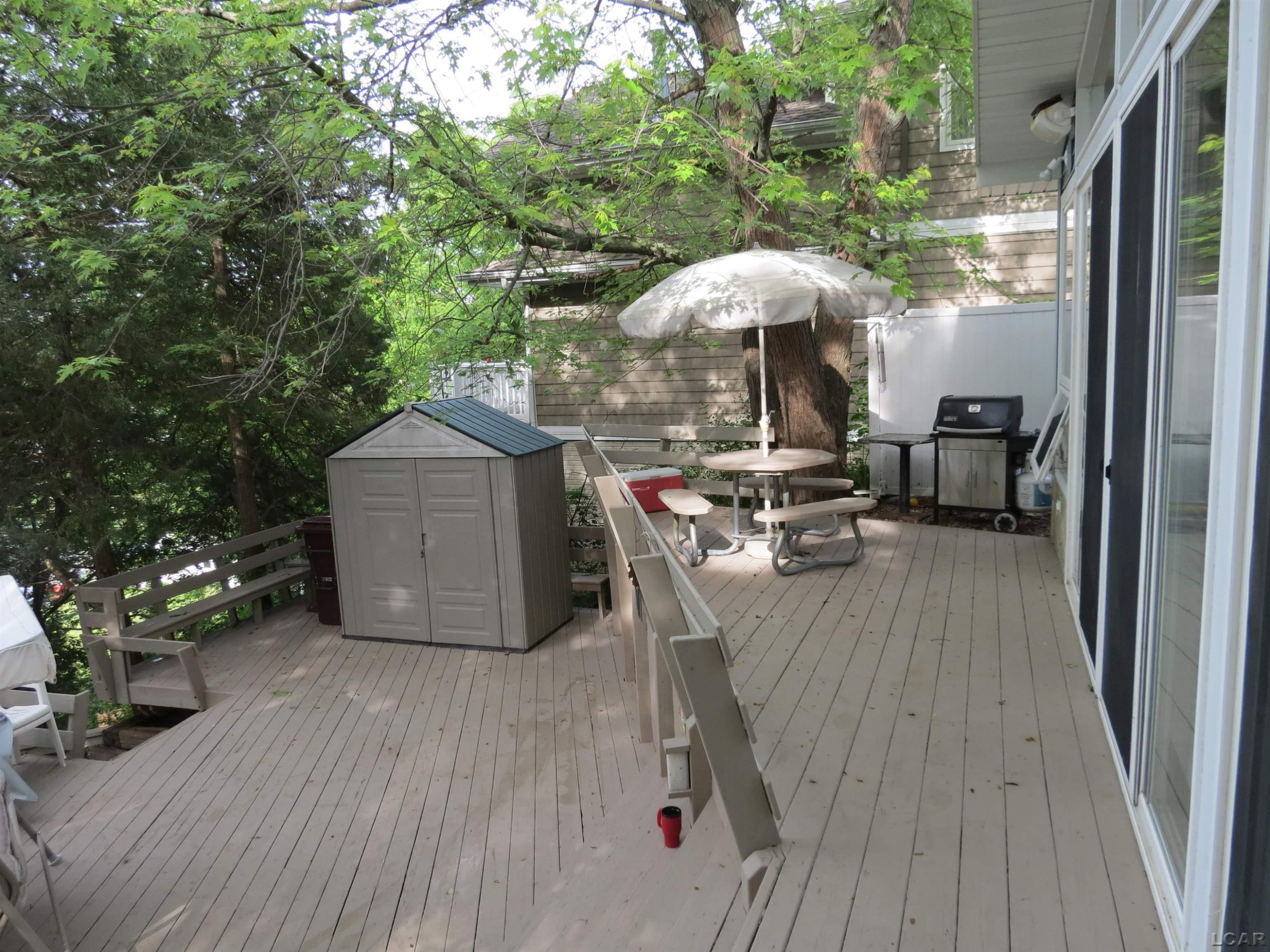 6000 Rays Drive, Onsted, MI 49265 — Photo 31