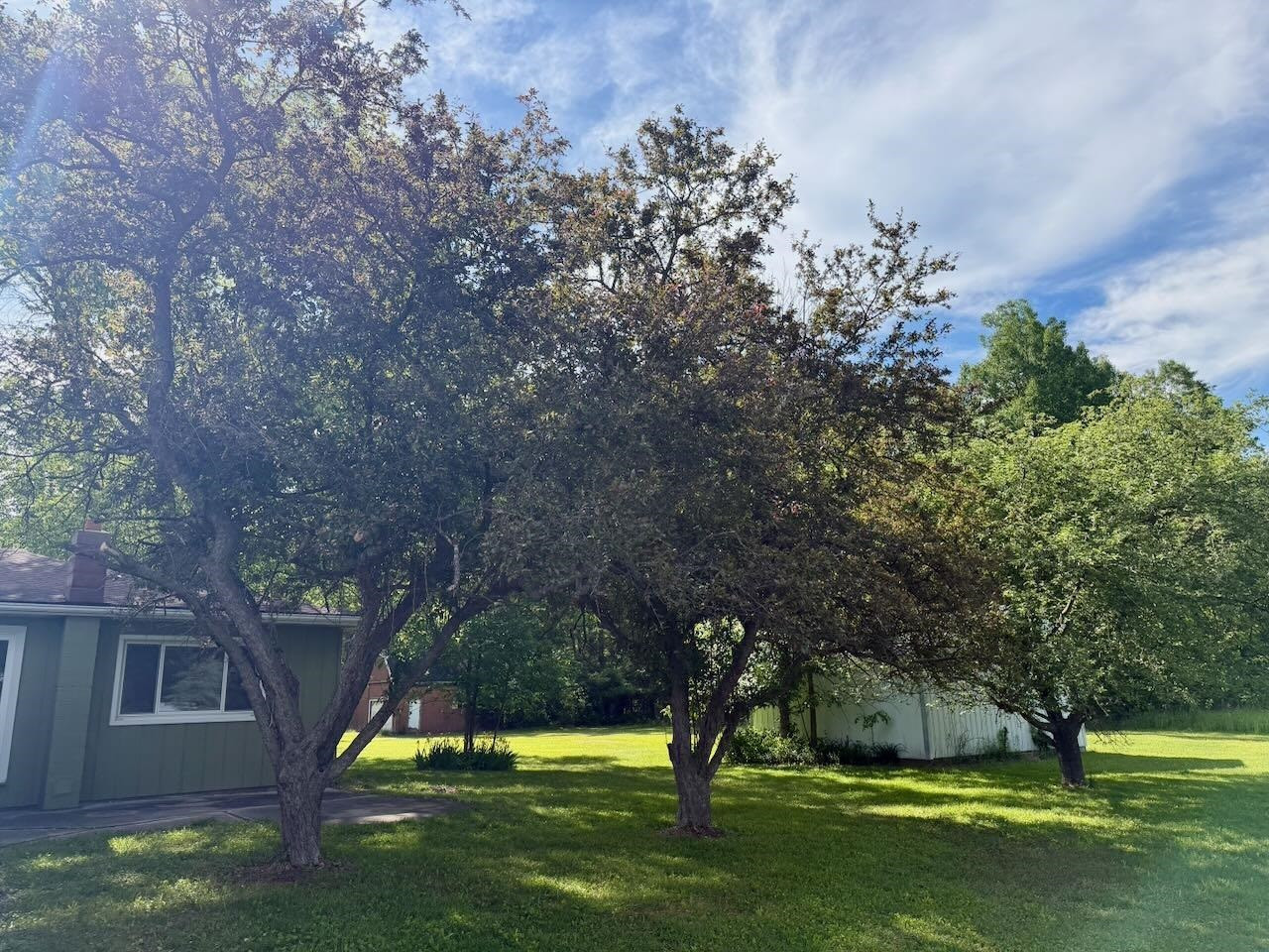 6232 Baker Road, Bridgeport, MI 48722 — Photo 7