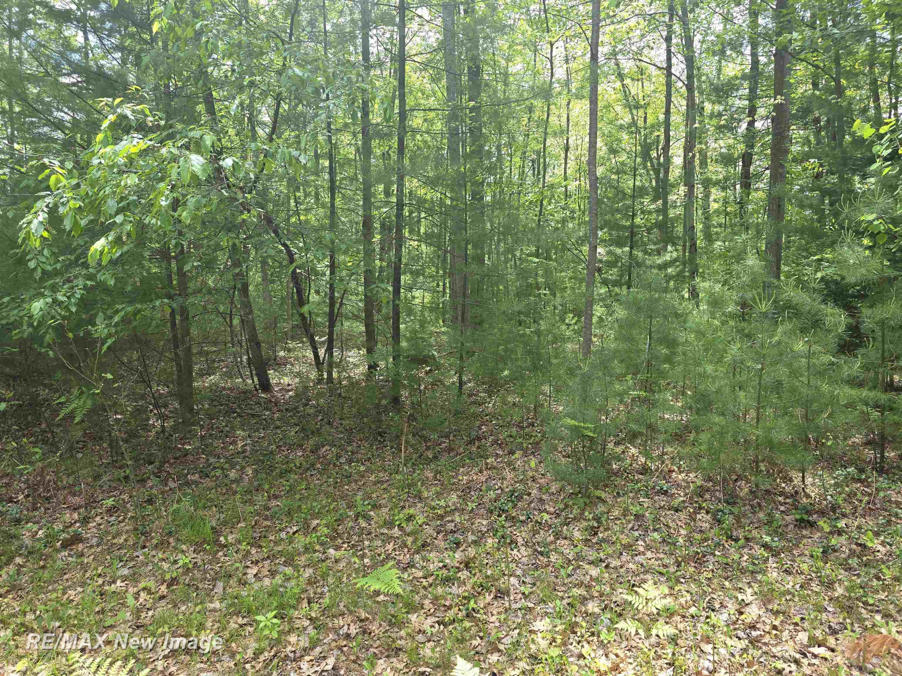1980 4th Oak Street, Prescott, MI 48756 — Photo 7