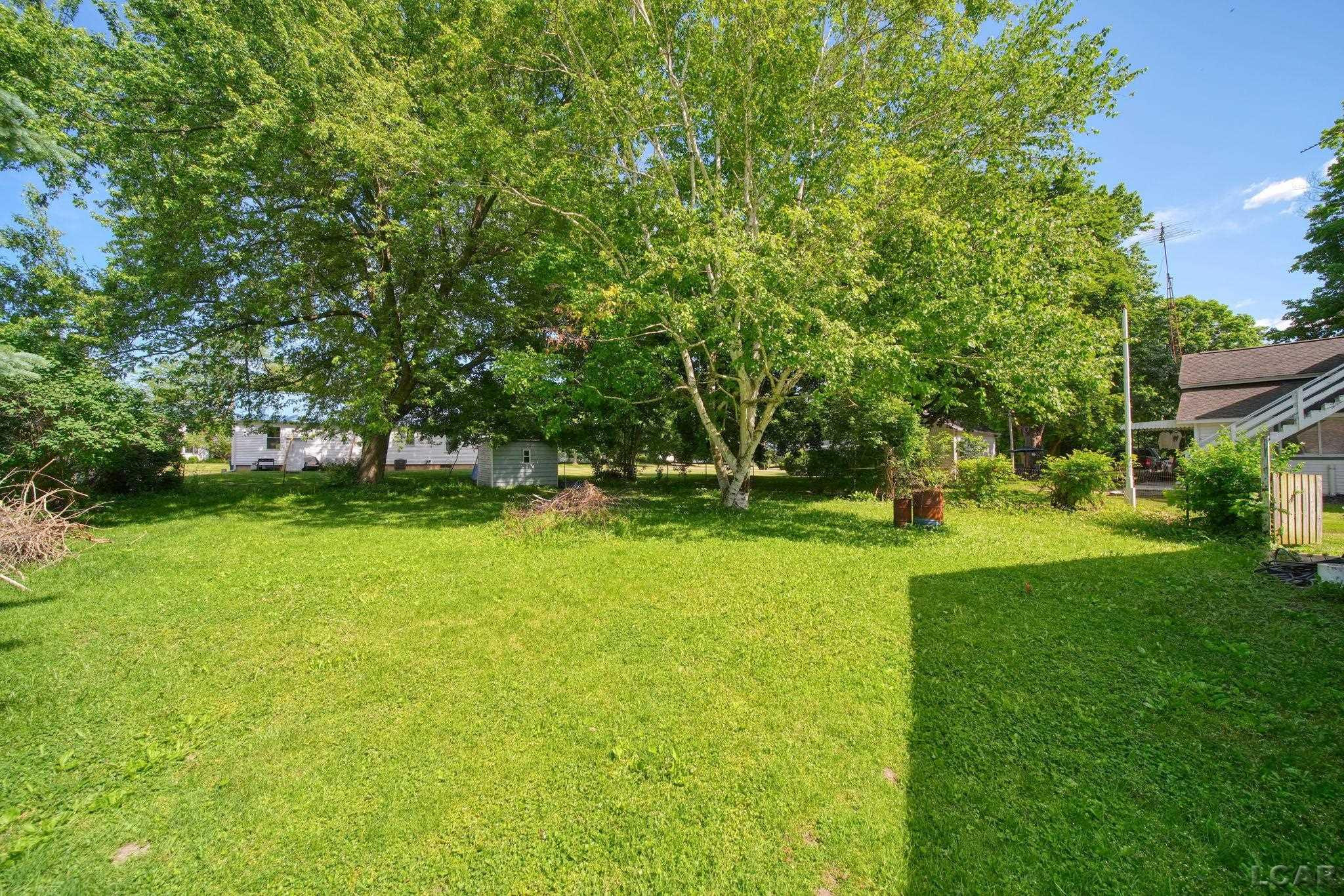 215 S Jackson Street, Addison, MI 49220 — Photo 21