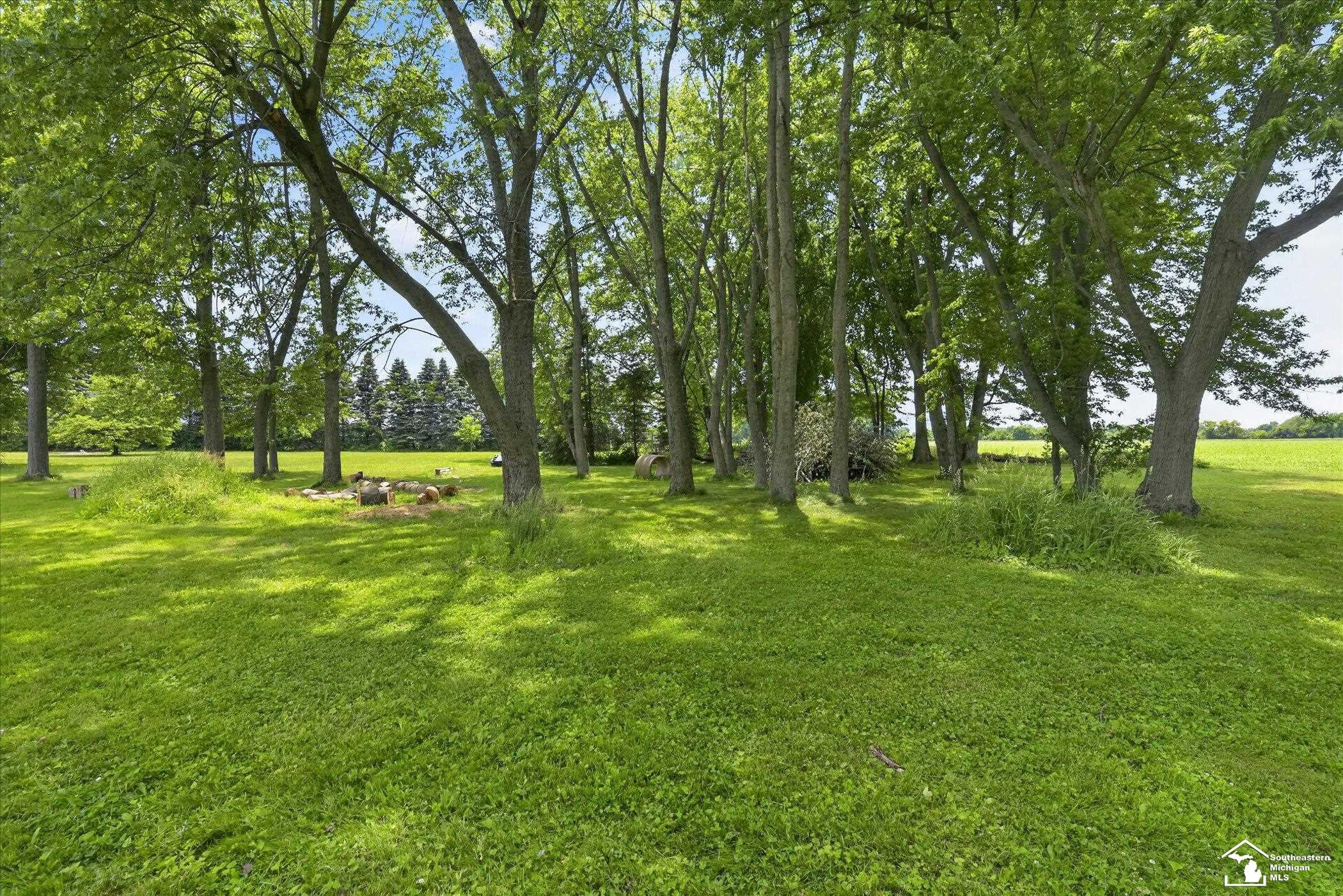 5813 W Temperance Road, MI 49267 — Photo 7