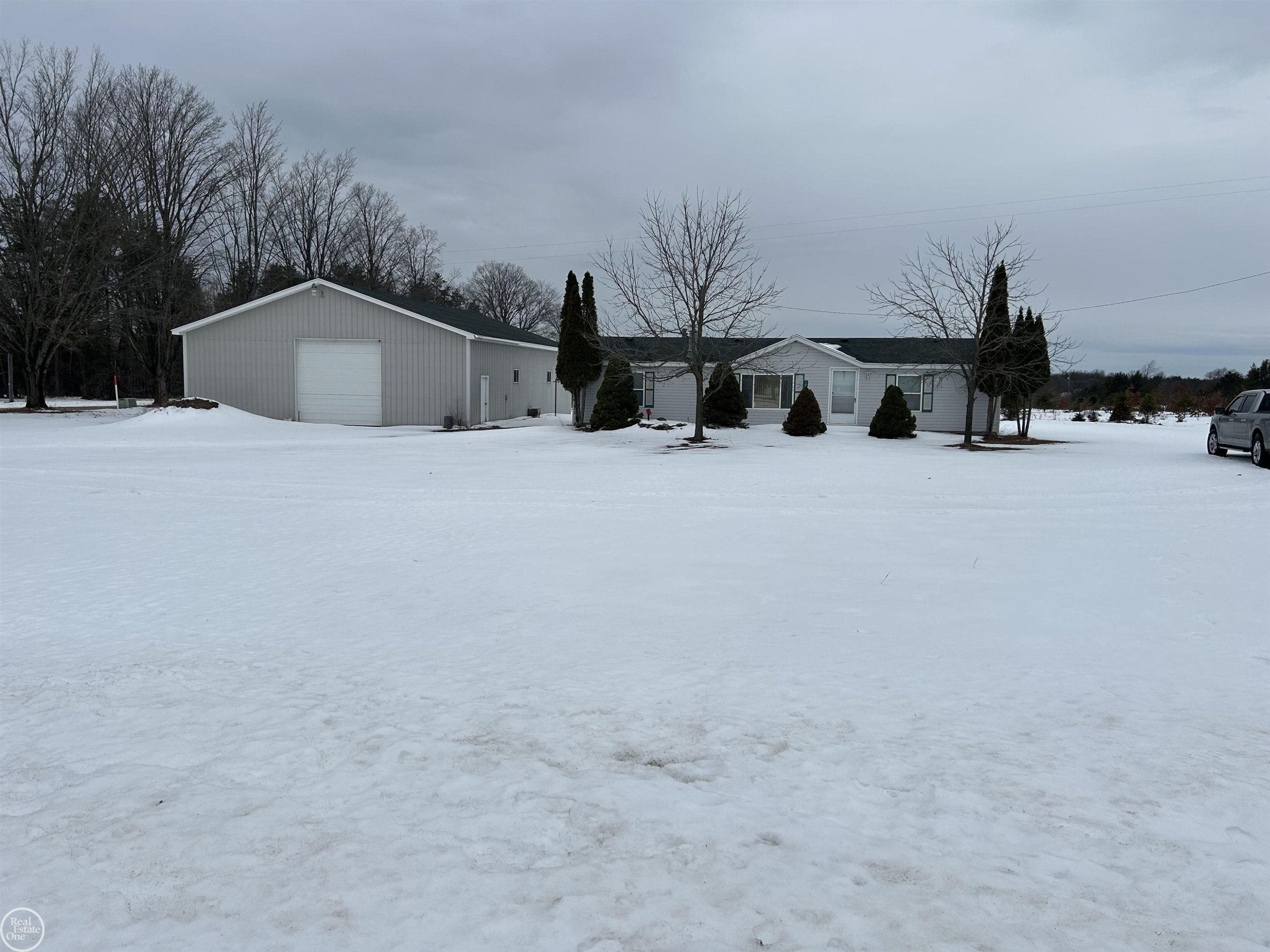 1009 Old M 37 Highway, Mesick, MI 49668 — front exterior