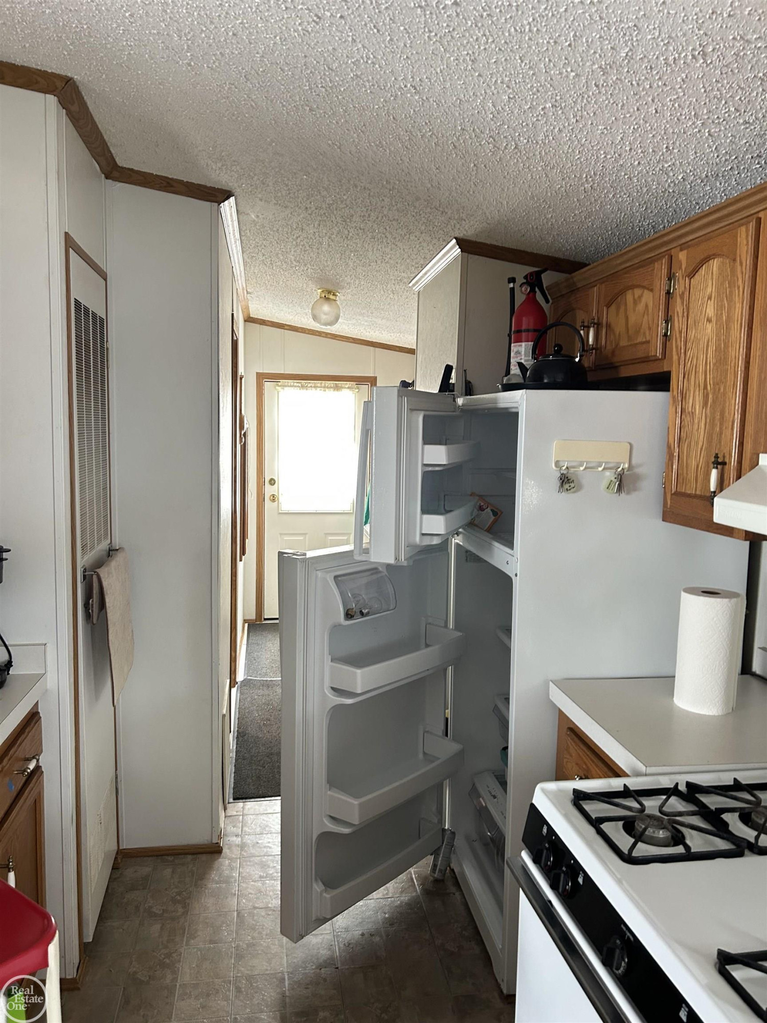 1009 Old M 37 Highway, Mesick, MI 49668 — Photo 3