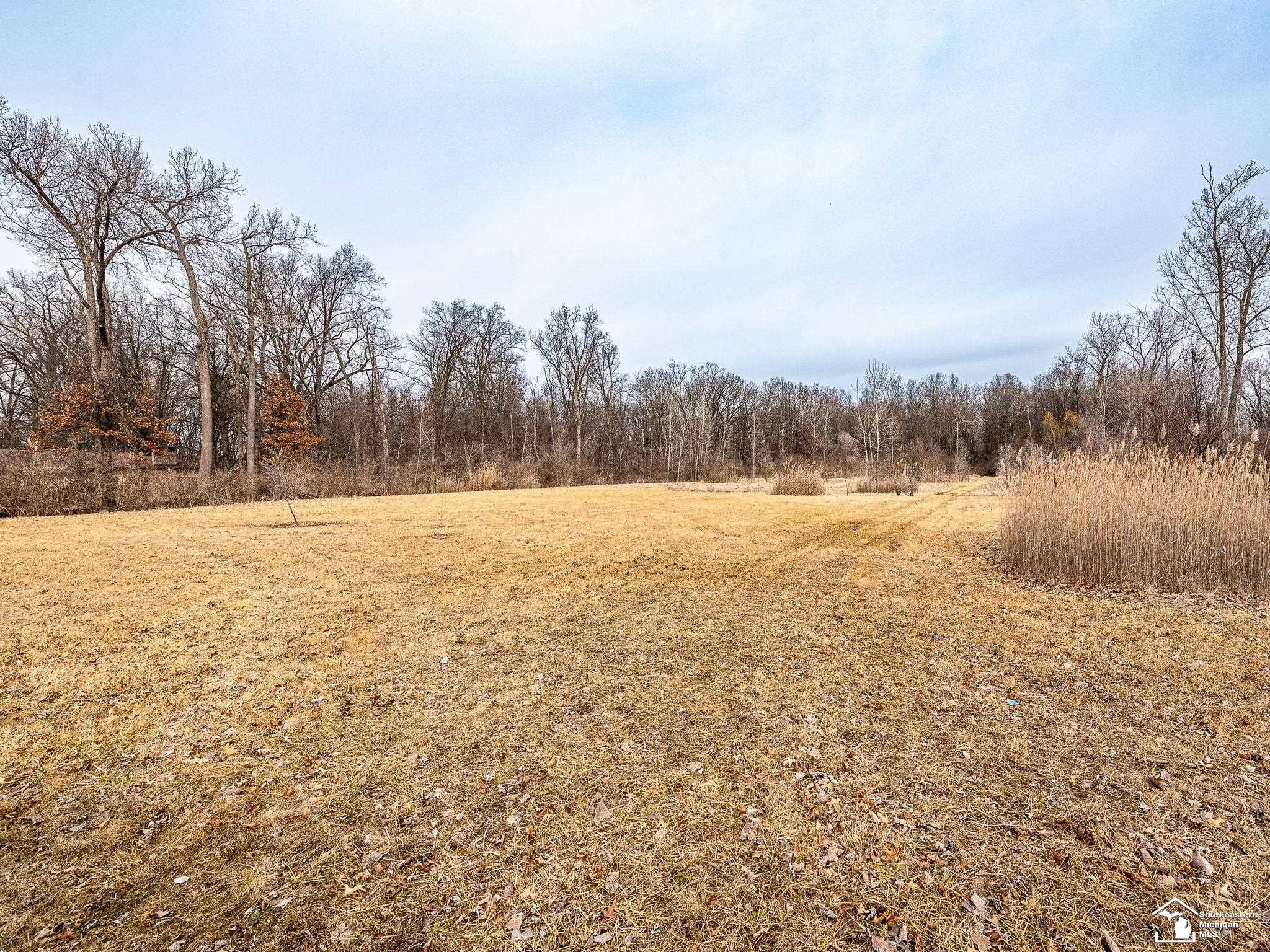 Nadeau Road, Monroe, MI 48162 — Photo 2
