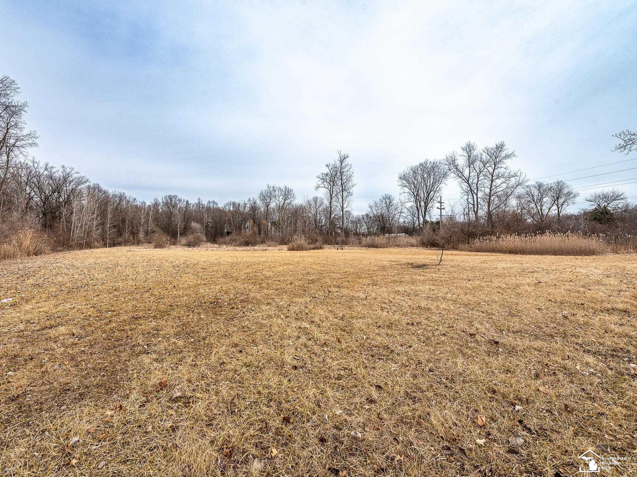 Nadeau Road, Monroe, MI 48162 — Photo 3