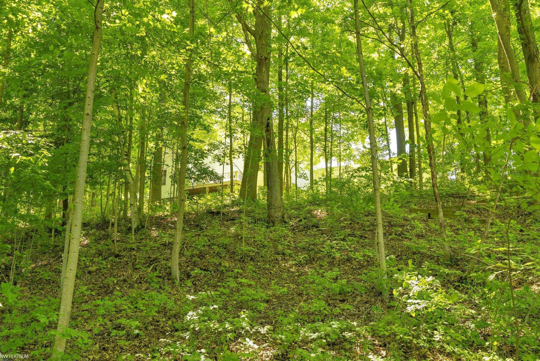 8211 Black River Road, Croswell, MI 48422 — Photo 55