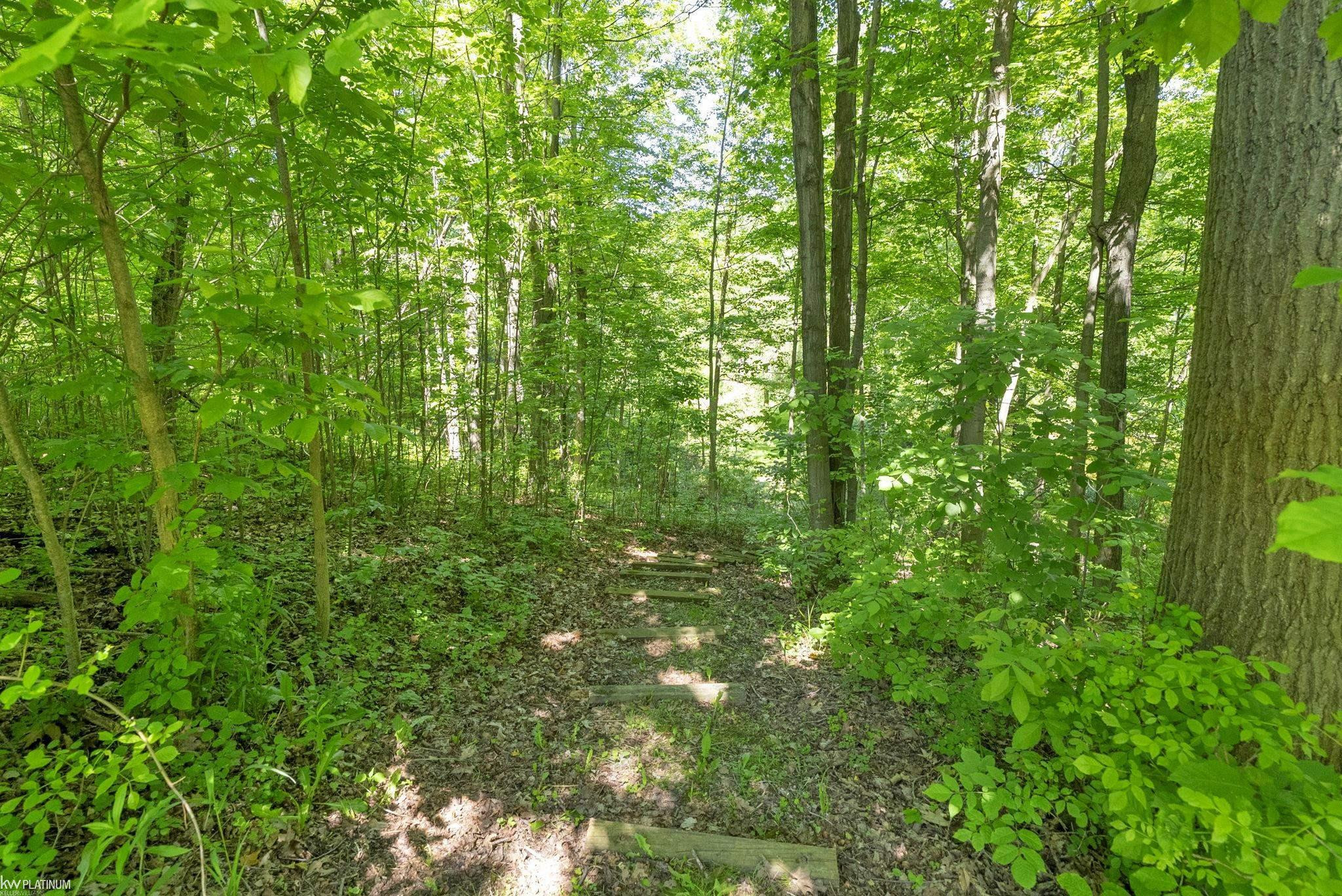 8211 Black River Road, Croswell, MI 48422 — Photo 59