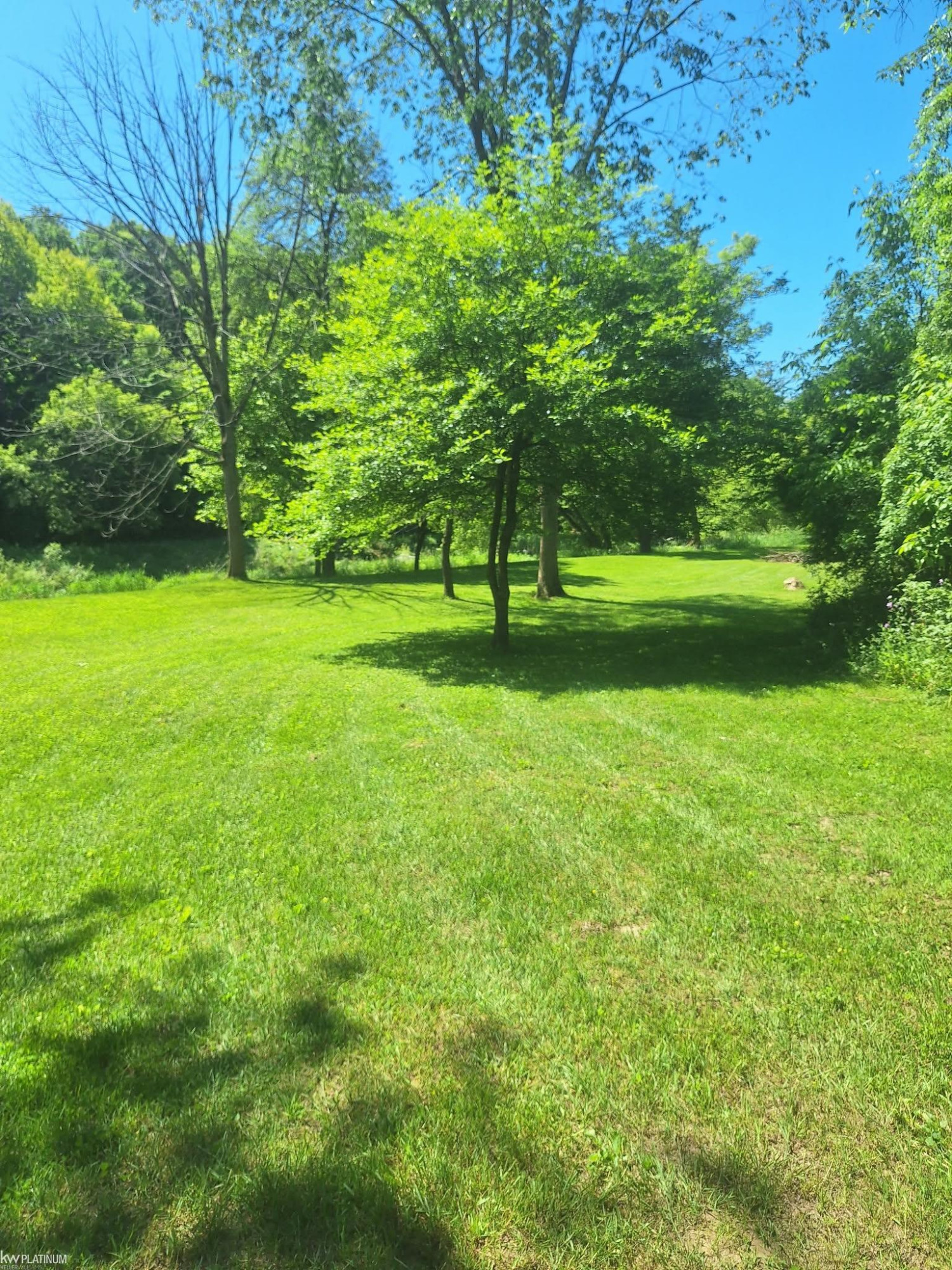 8211 Black River Road, Croswell, MI 48422 — Photo 66