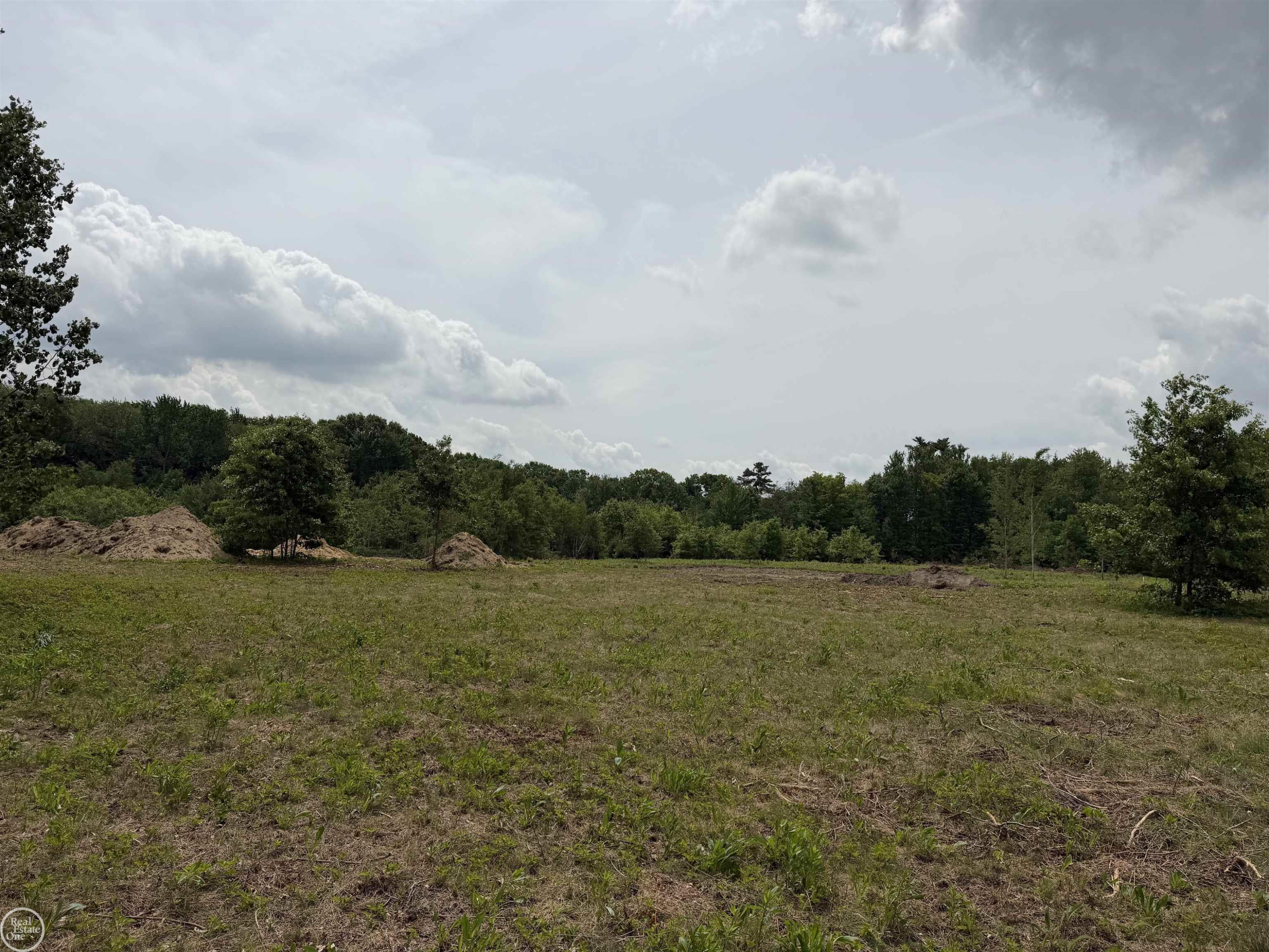 00 Parker Road, MI 48059 — Photo 5