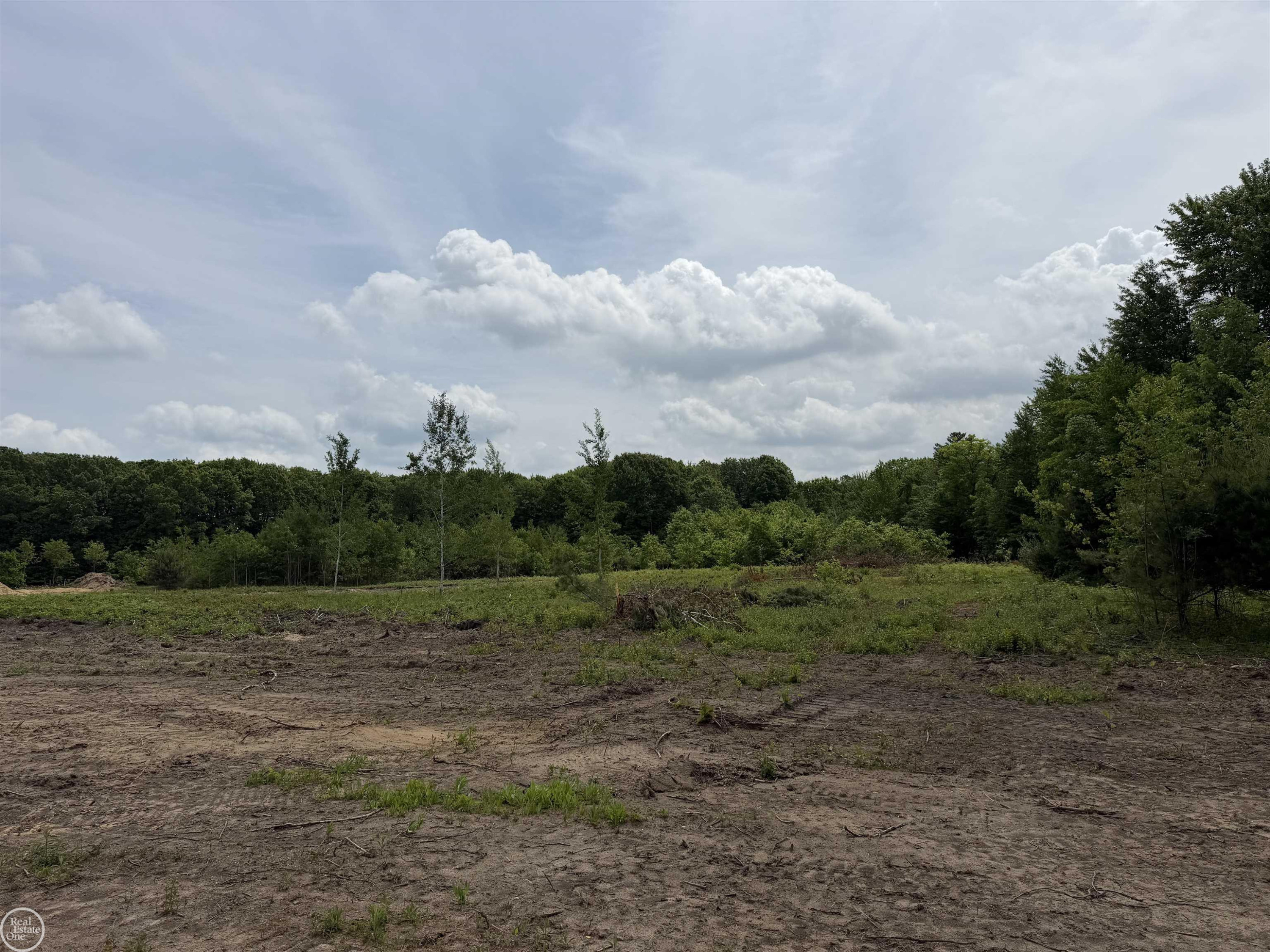 00 Parker Road, MI 48059 — Photo 6