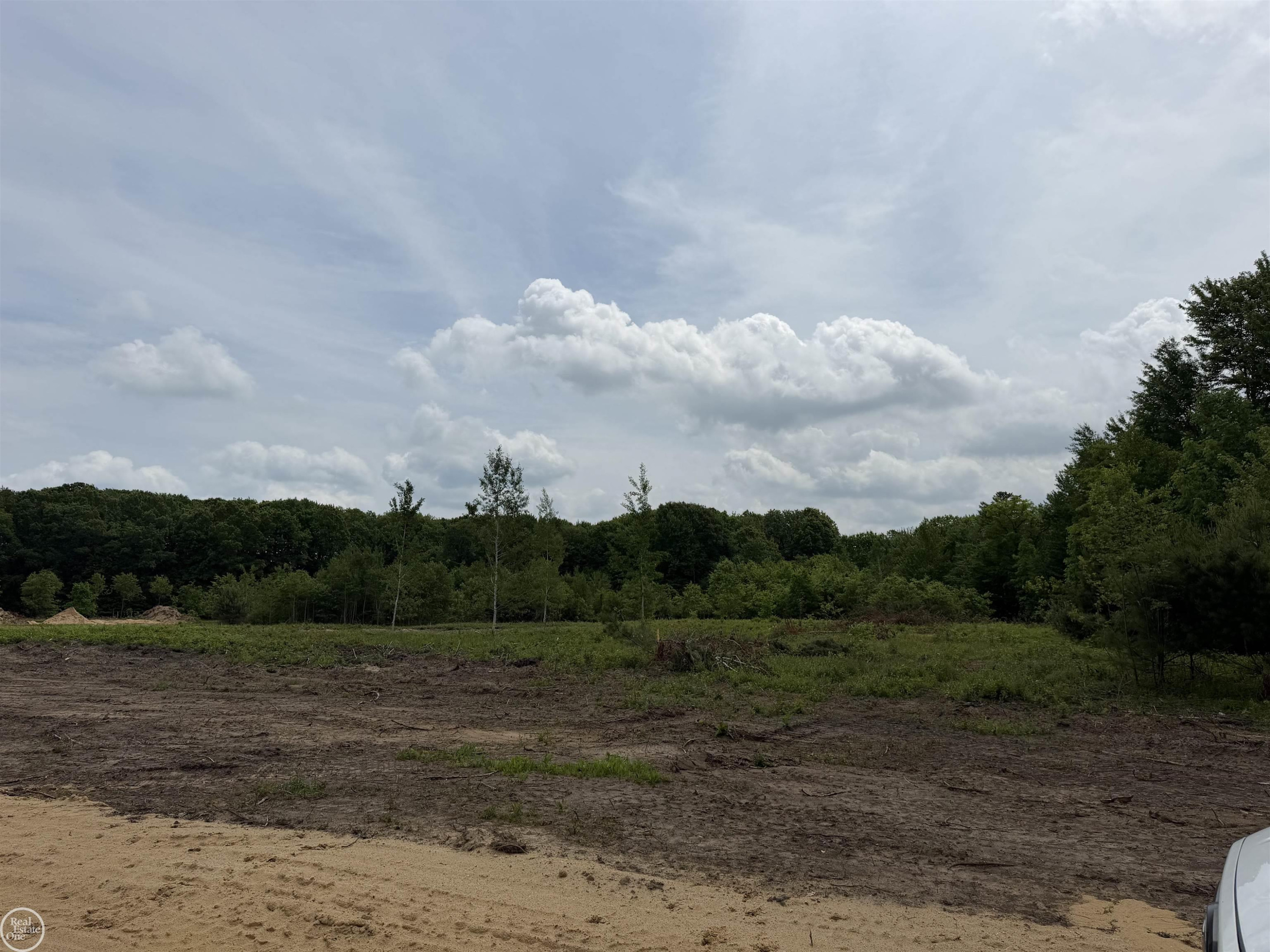 00 Parker Road, MI 48059 — Photo 9