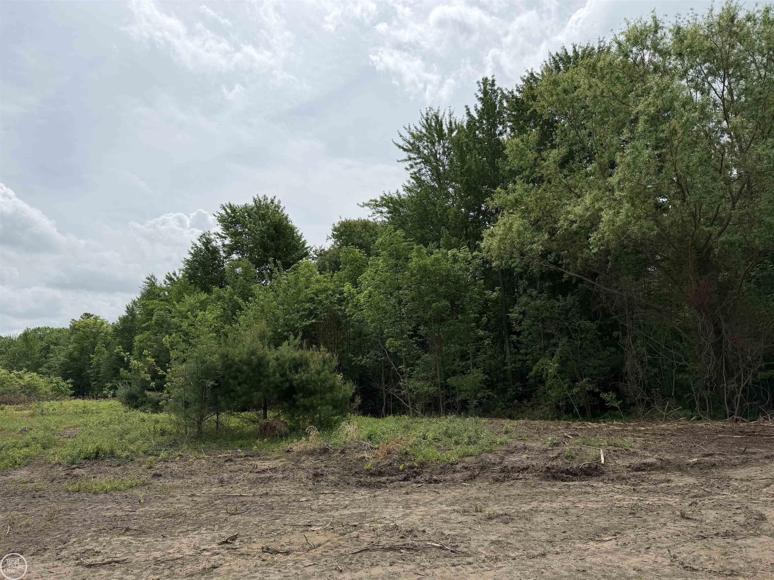 00 Parker Road, MI 48059 — Photo 11