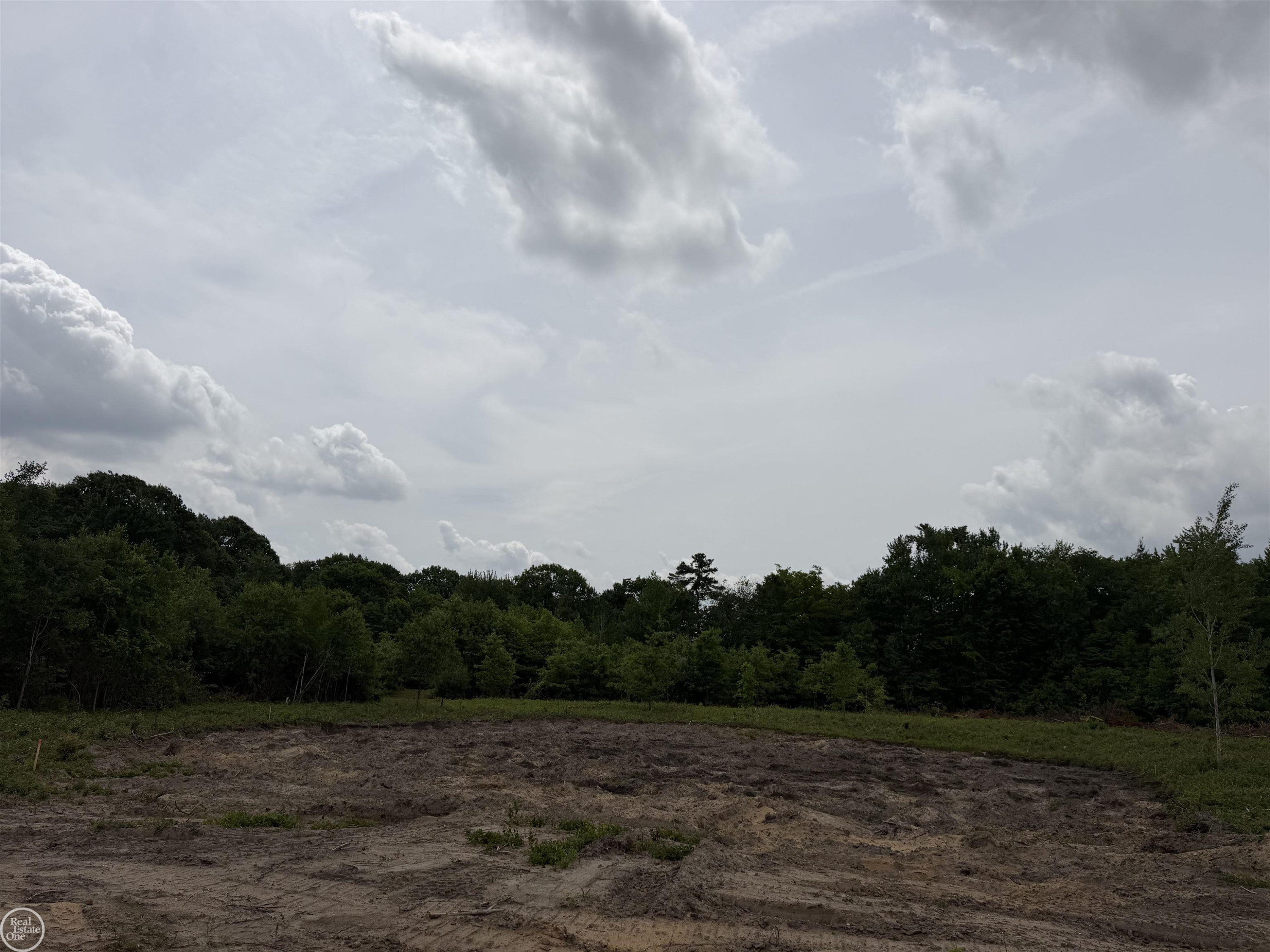00 Parker Road, MI 48059 — Photo 13