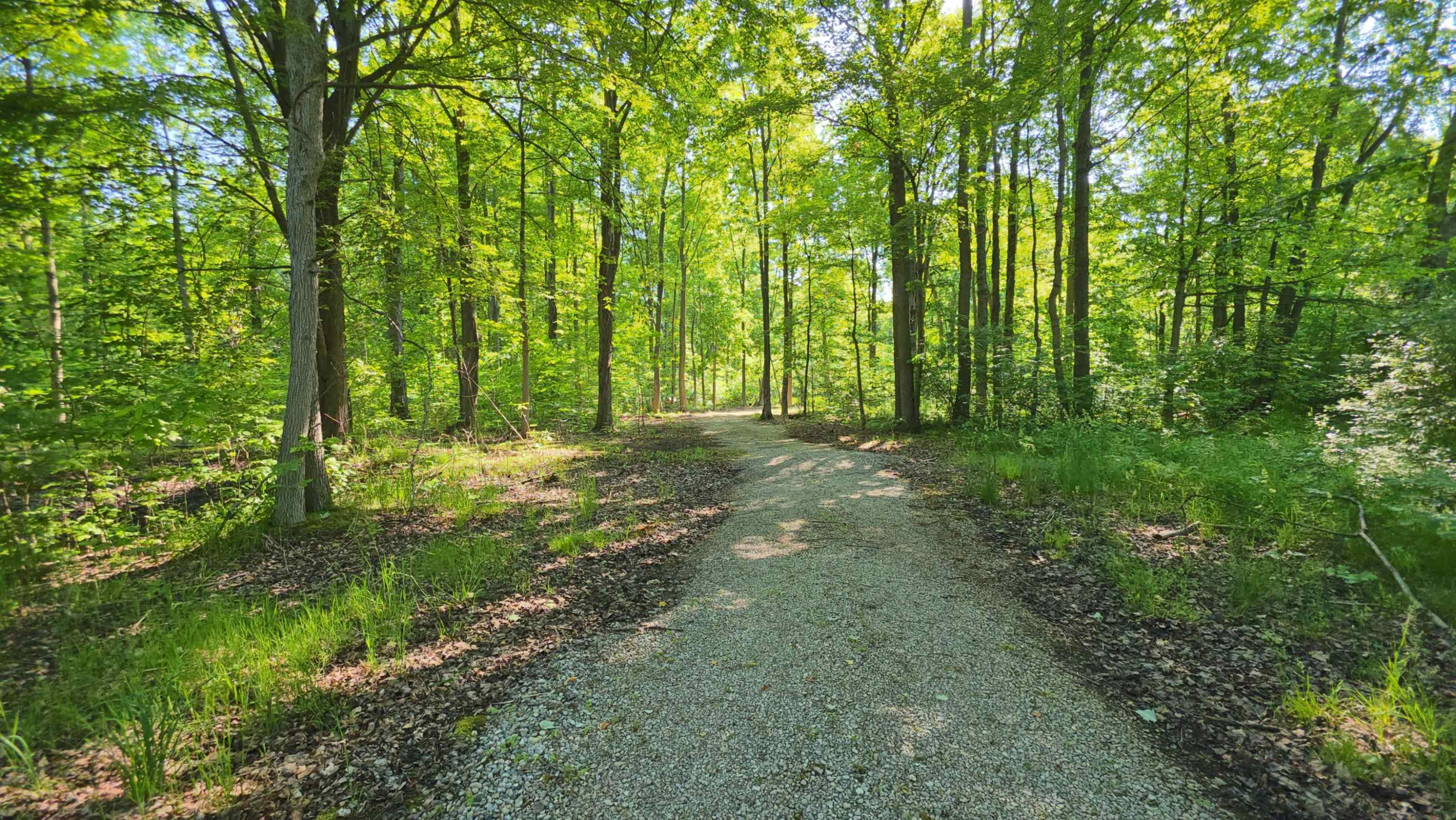 9270 Morrish Road, Montrose, MI 48457 — Photo 6