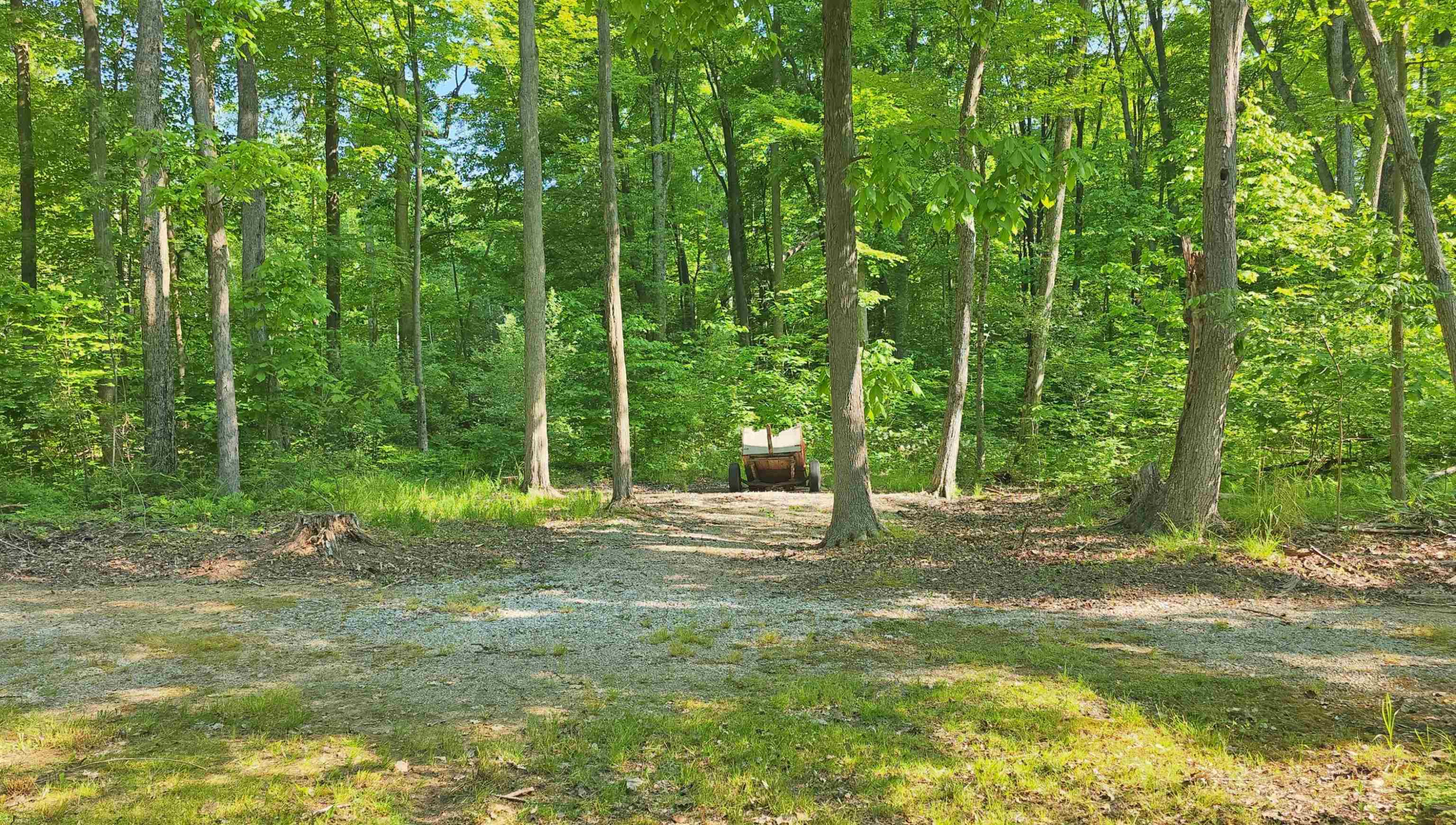 9270 Morrish Road, Montrose, MI 48457 — Photo 8