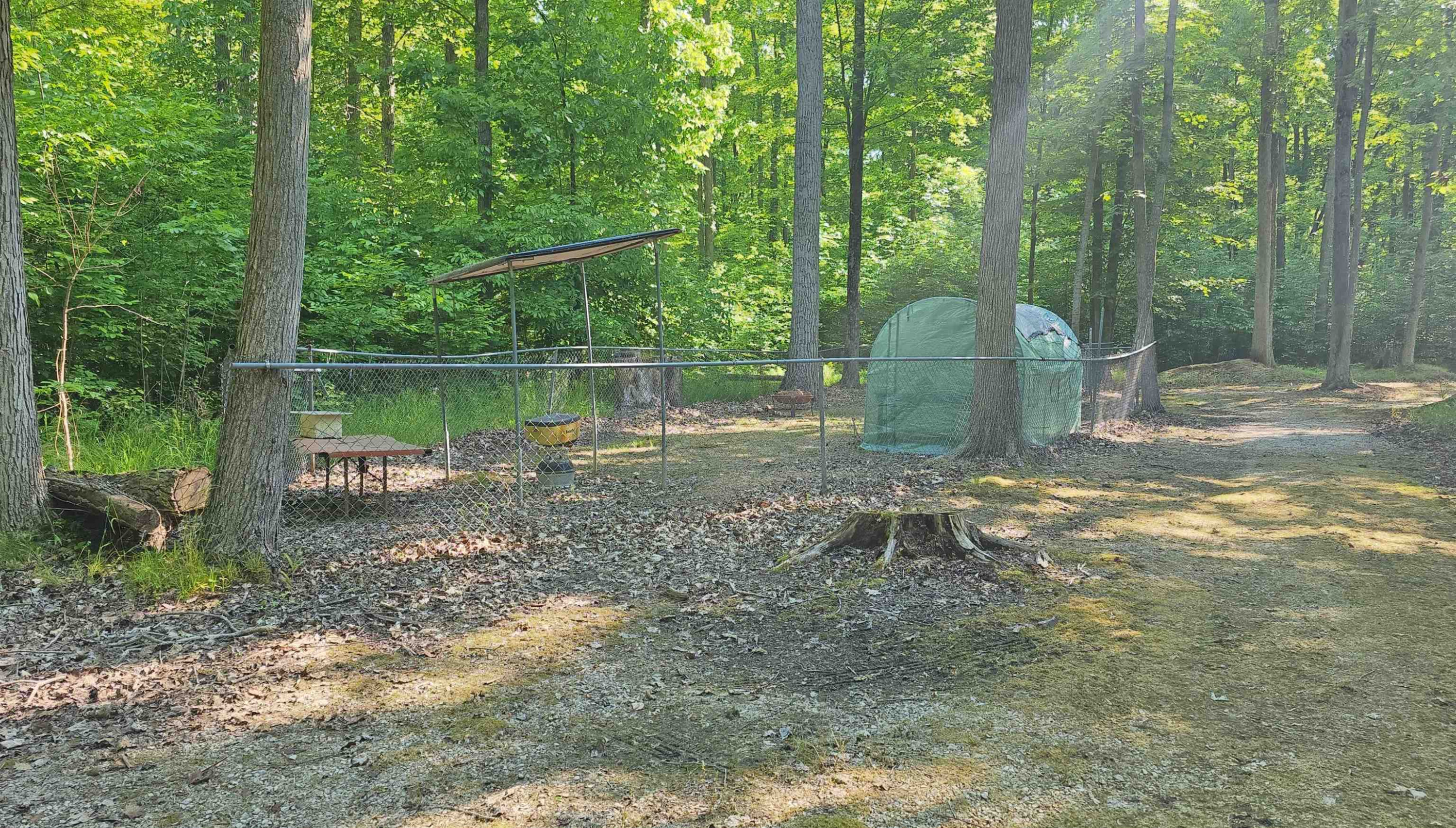9270 Morrish Road, Montrose, MI 48457 — Photo 12
