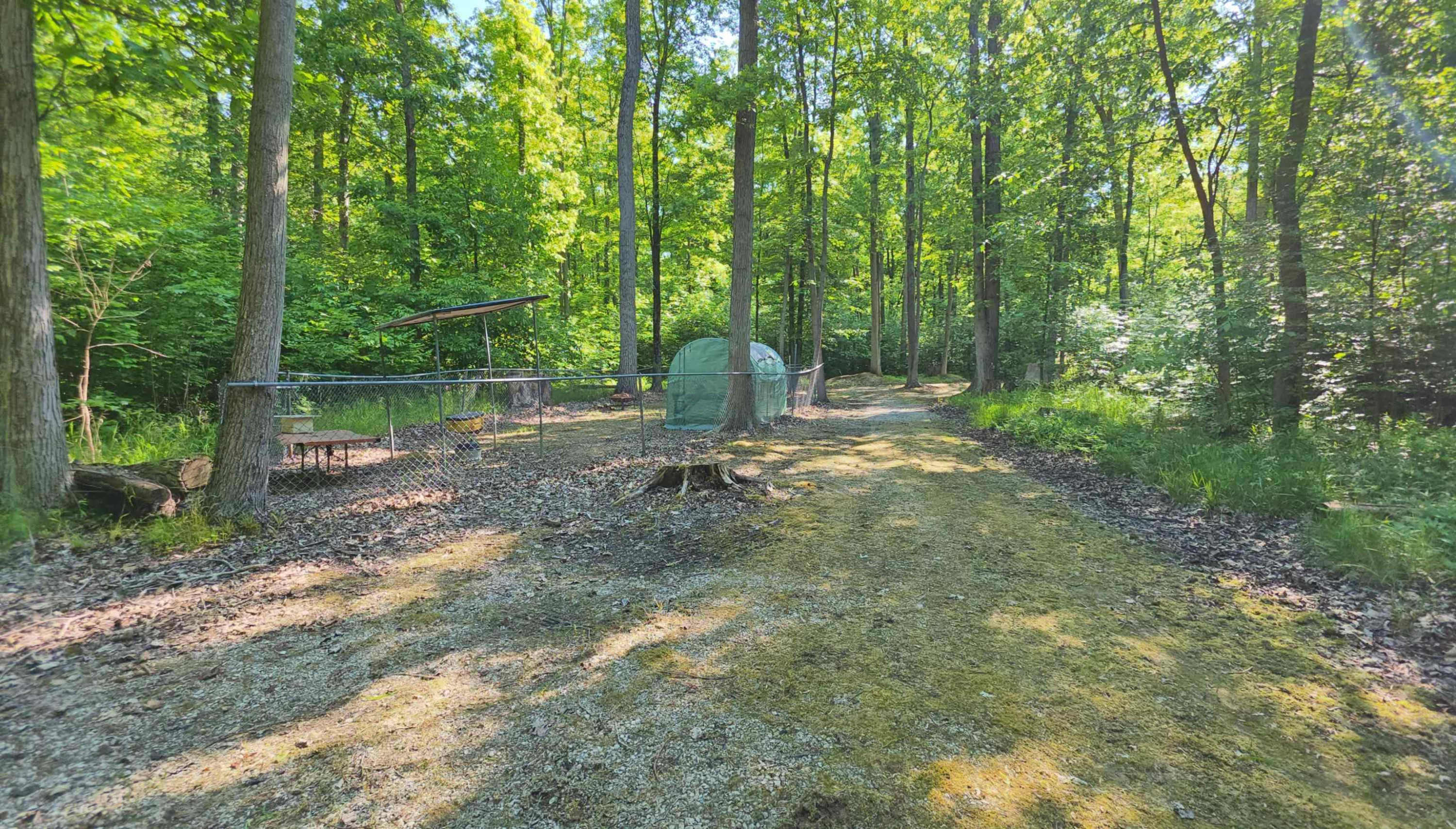 9270 Morrish Road, Montrose, MI 48457 — Photo 13