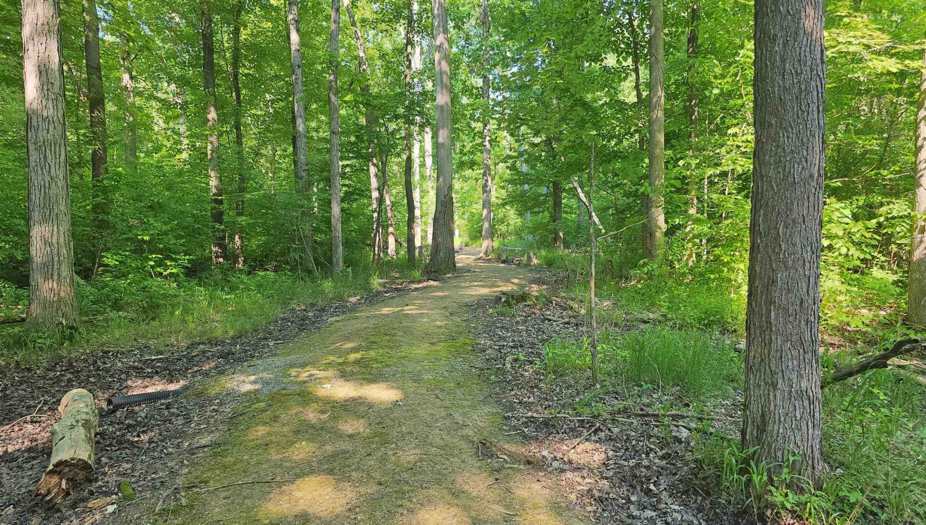 9270 Morrish Road, Montrose, MI 48457 — Photo 17