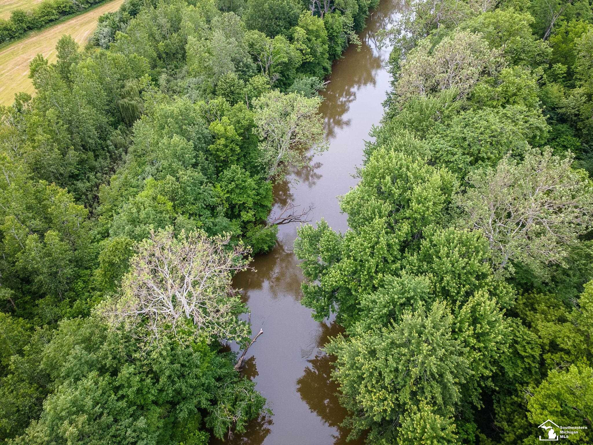 13999 Rightmire Road, MI — Photo 16
