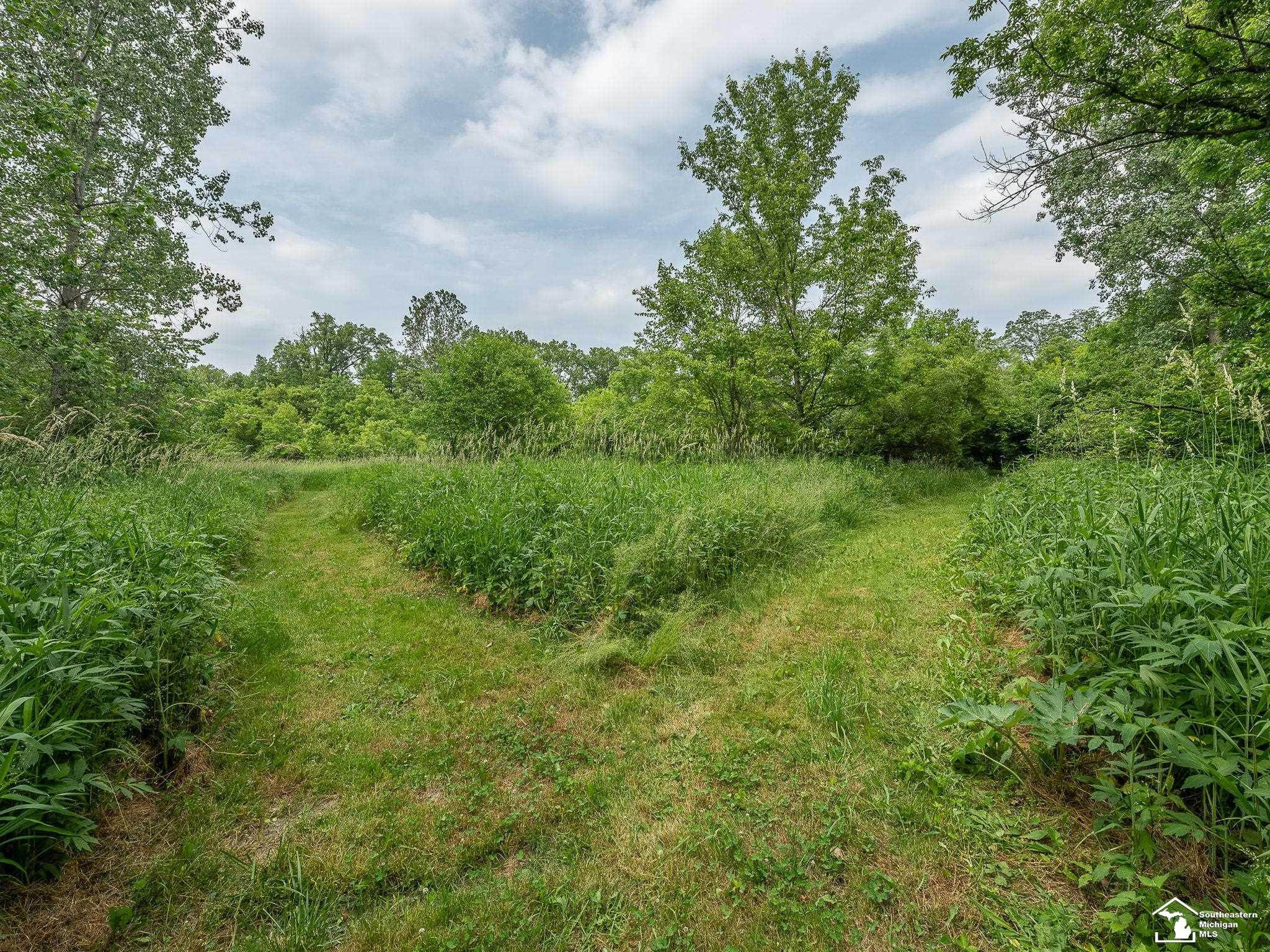 13999 Rightmire Road, MI — Photo 41