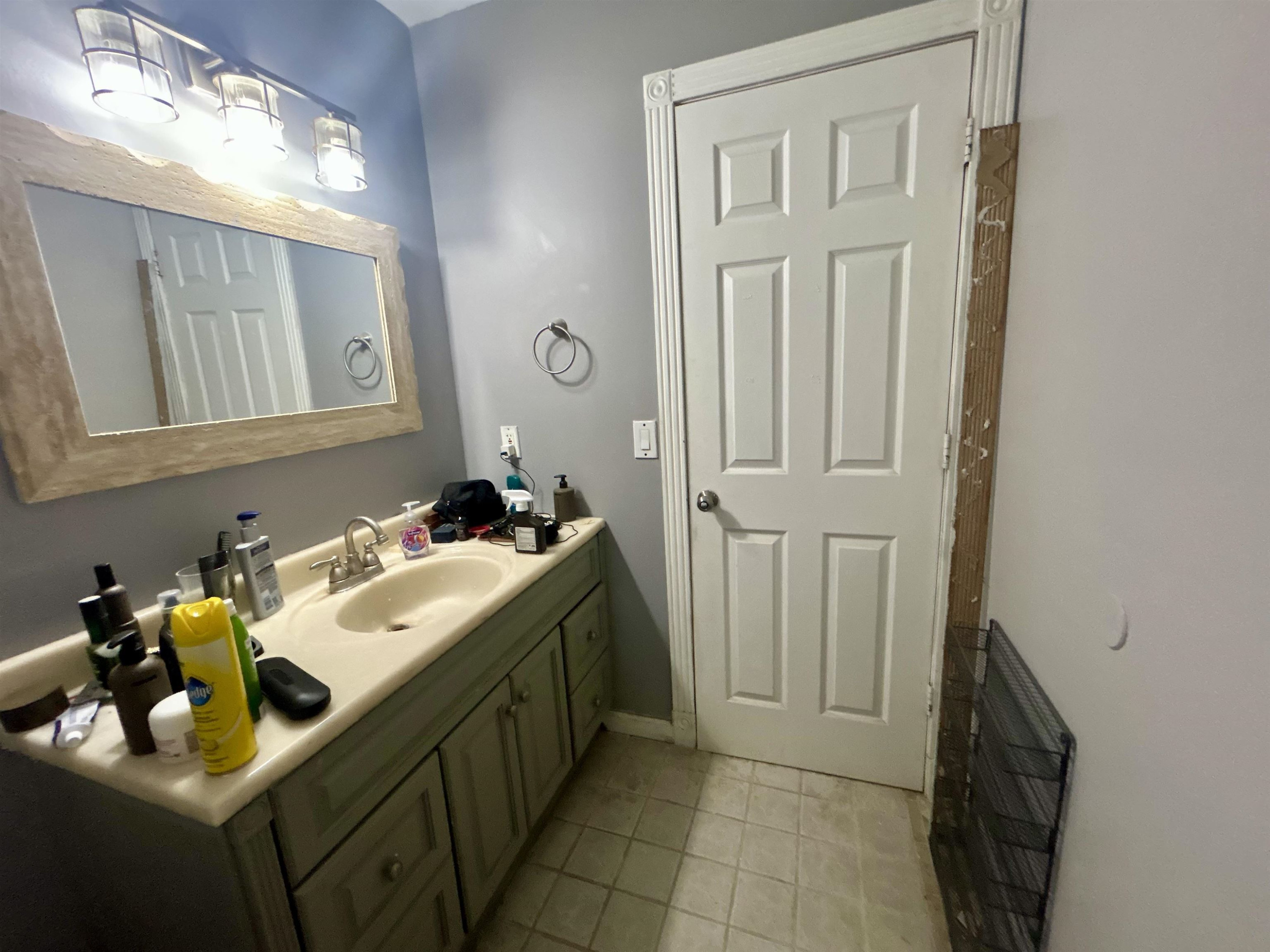 4083 W HERBISON Road, Dewitt, MI 48820 — Photo 10