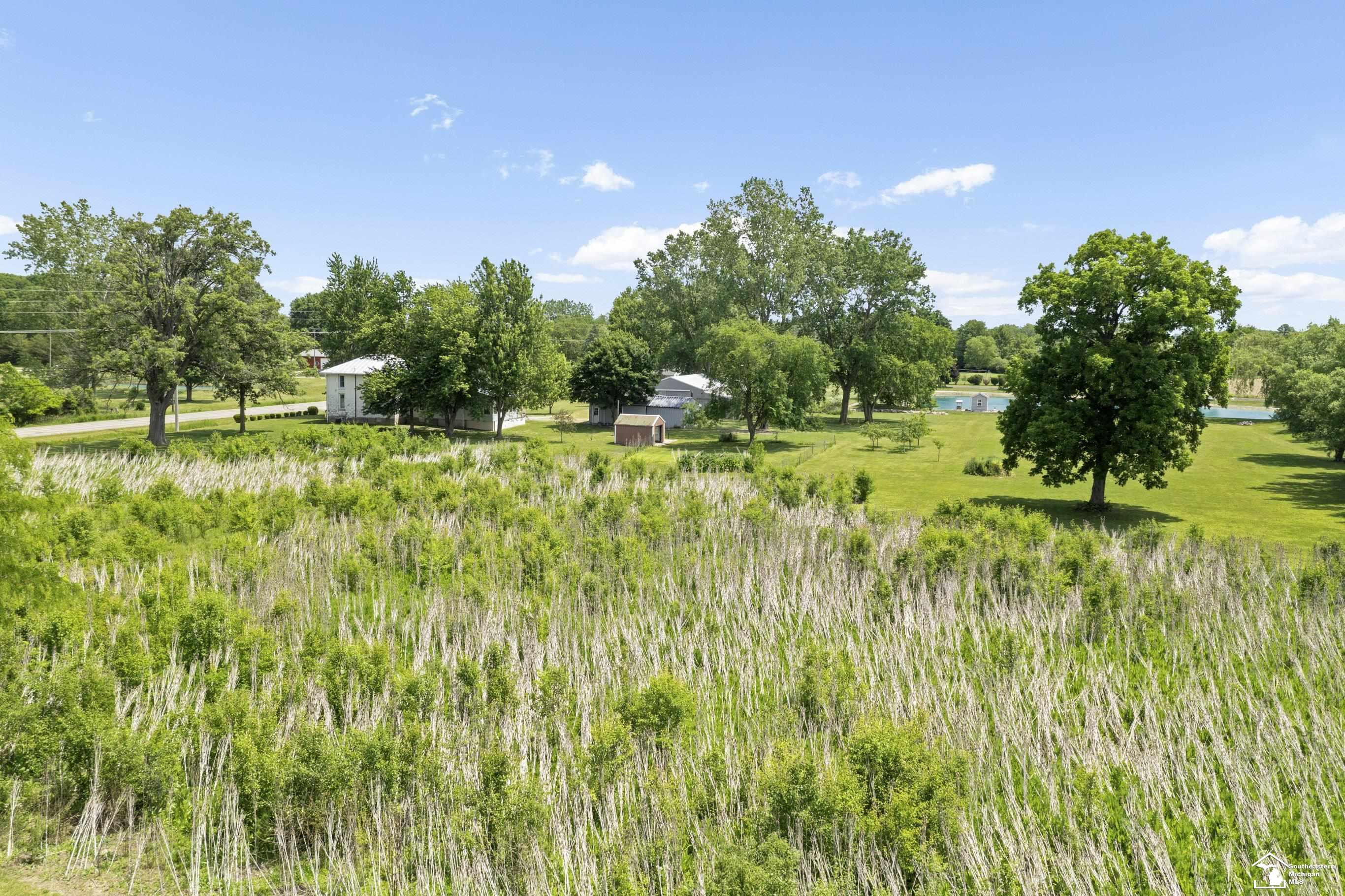 2808 Carleton Rockwood Road, Carleton, MI 48117 — Photo 61