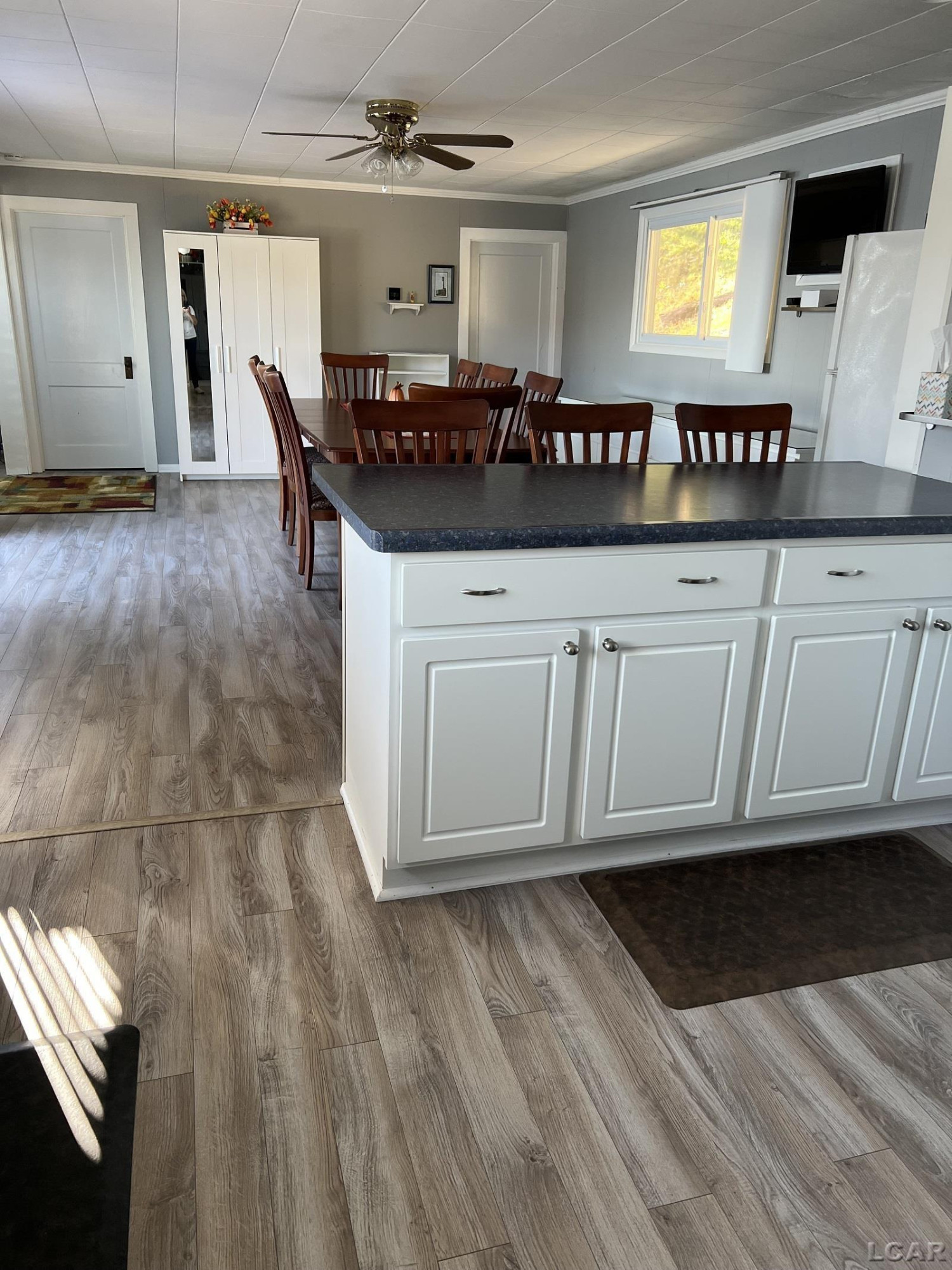 4050 S Hane Highway, Onsted, MI 49265 — Photo 8