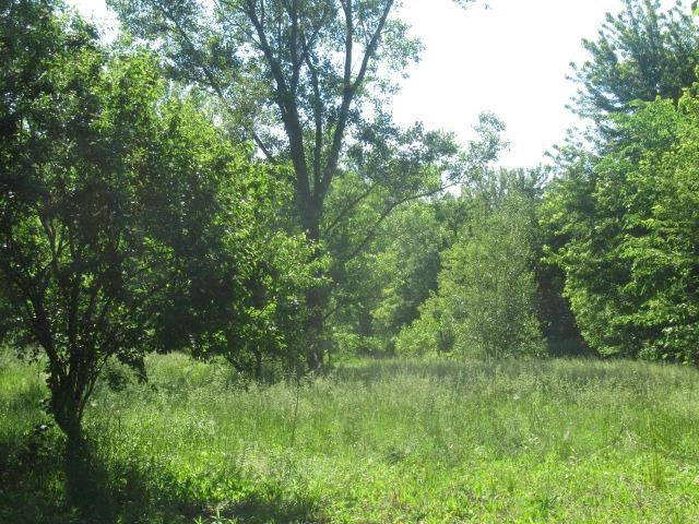 2082 Morrish Road, Swartz Creek, MI 48473 — Photo 5