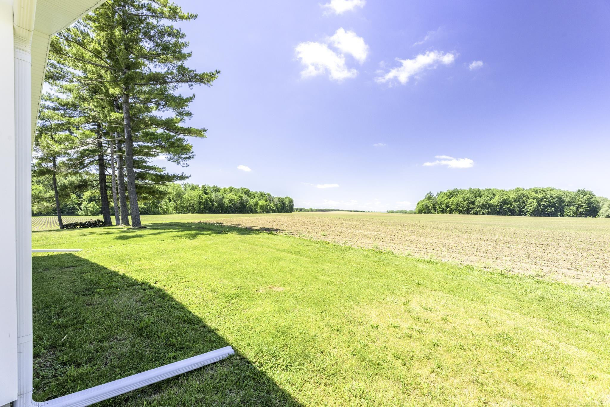 2481 N Ruth Road, Deckerville, MI 48427 — Photo 48
