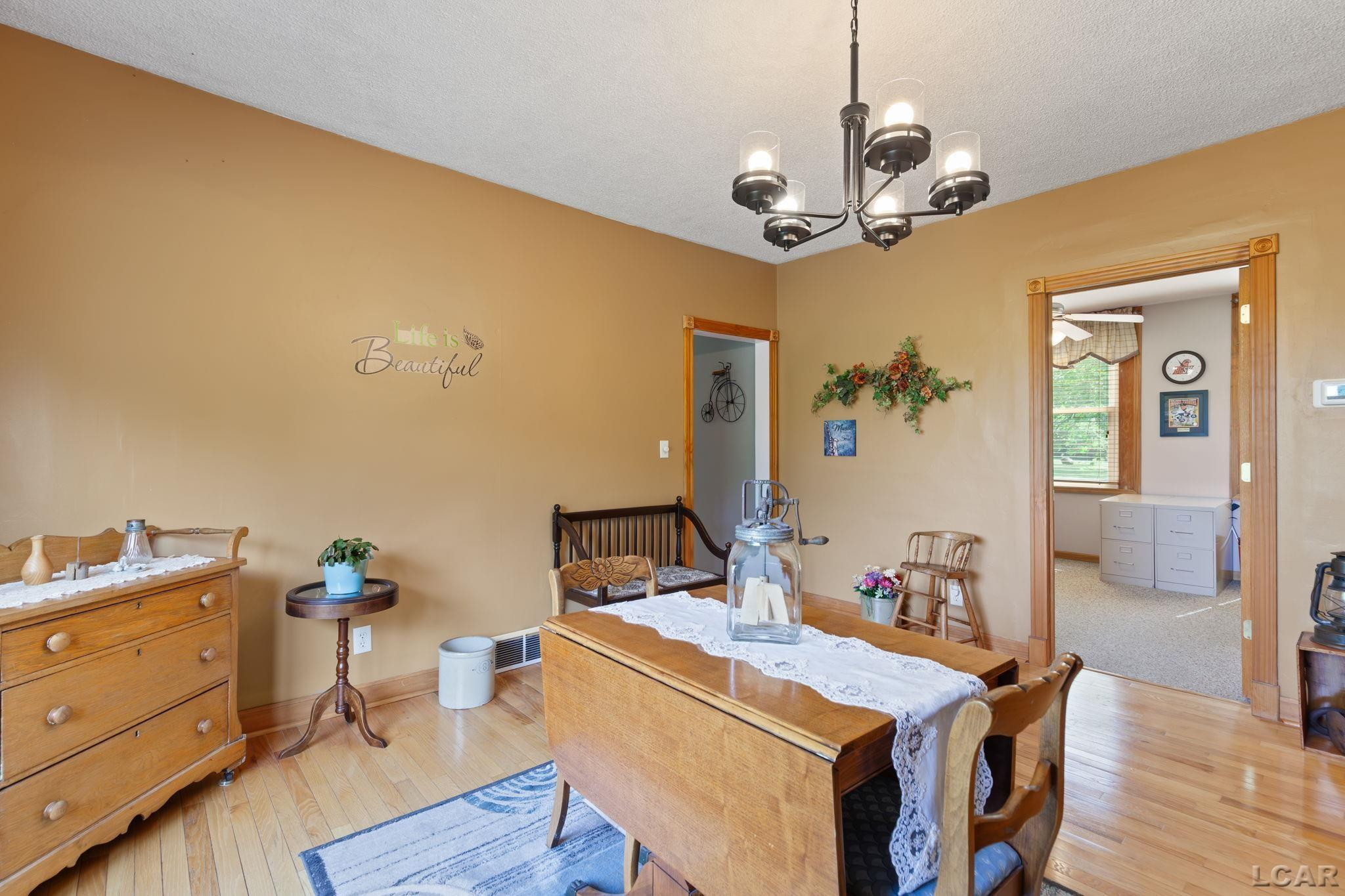 807 Conklin Drive, Tecumseh, MI 49286 — Photo 39