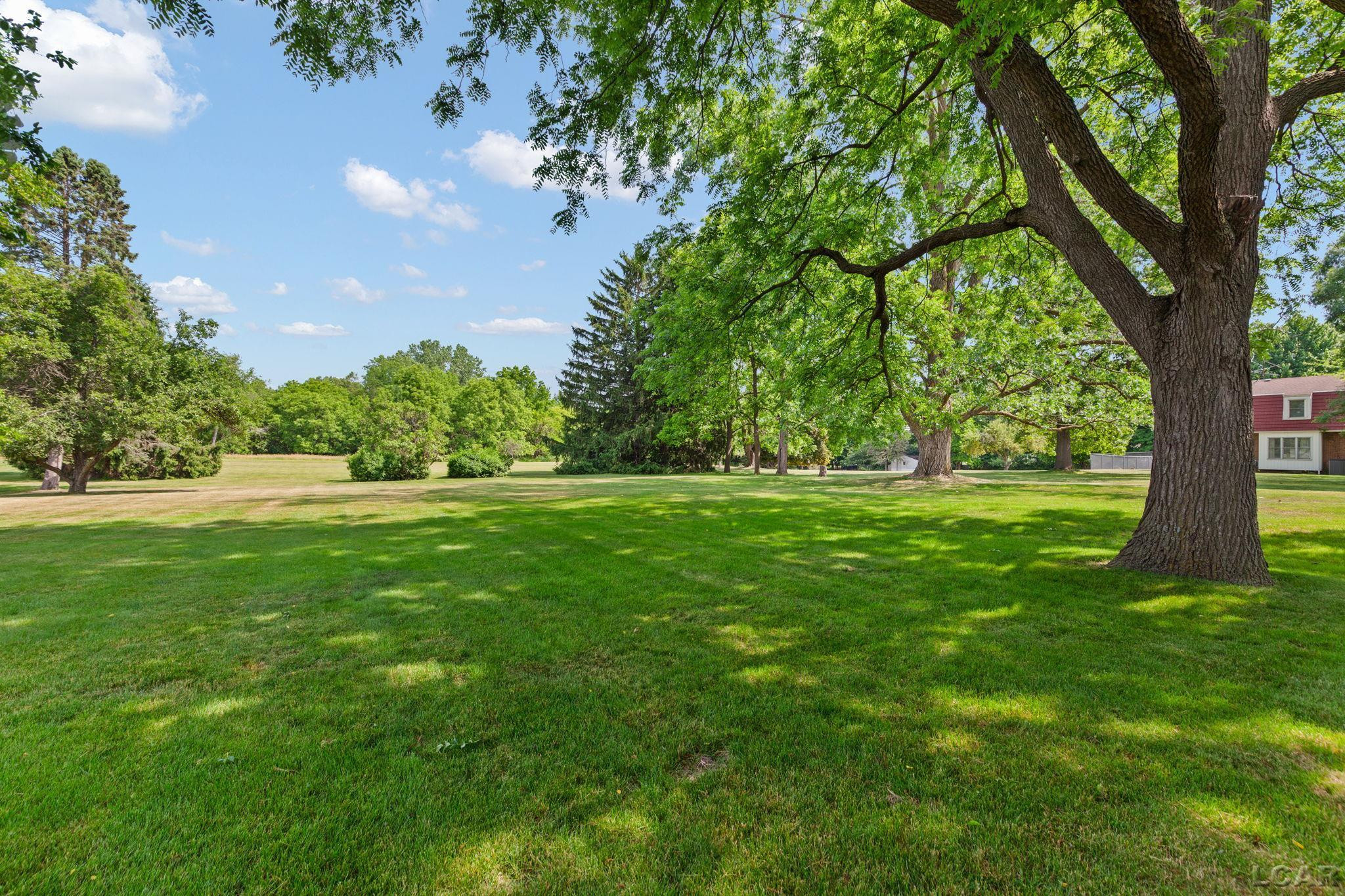 807 Conklin Drive, Tecumseh, MI 49286 — Photo 55