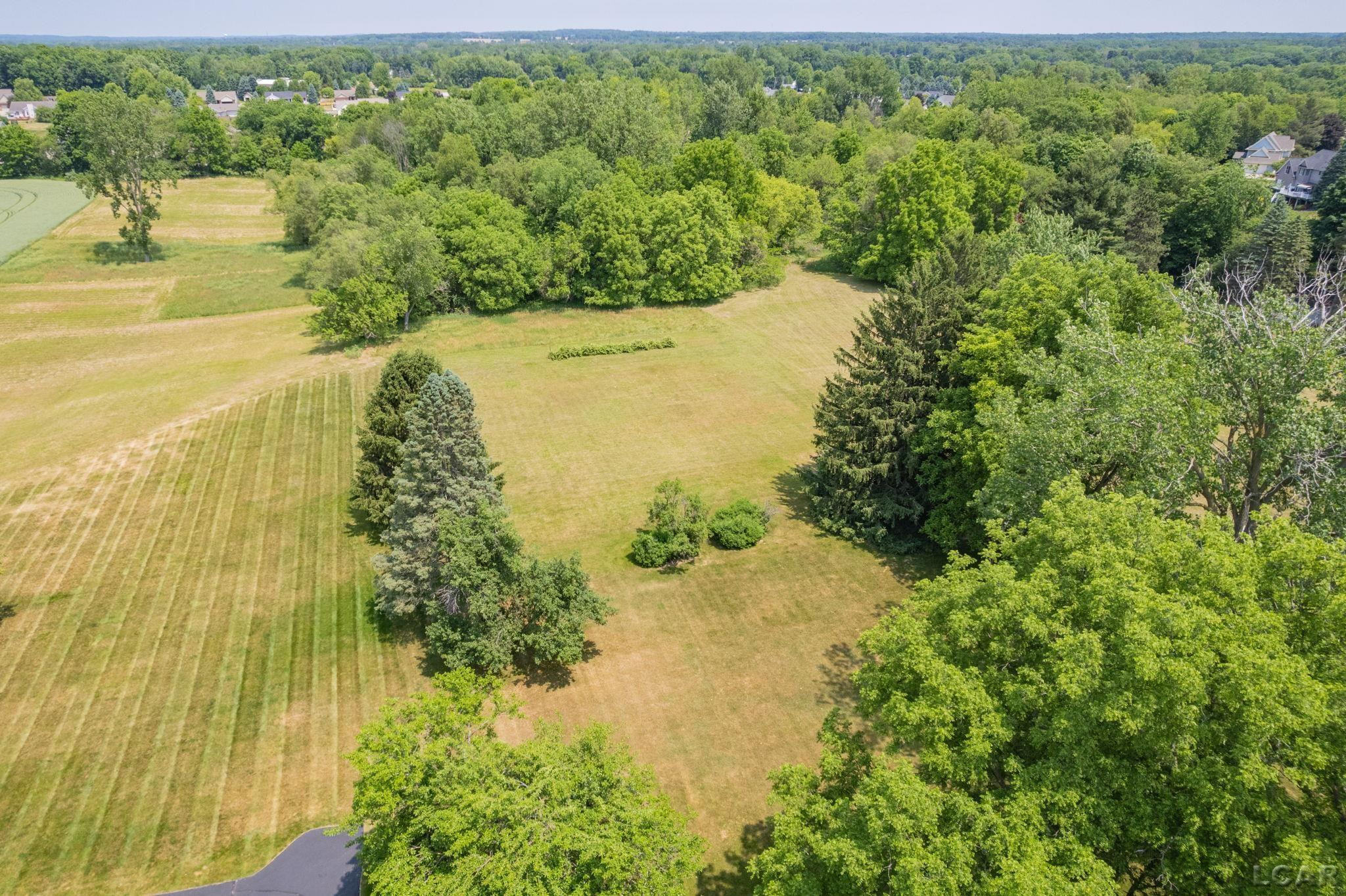 807 Conklin Drive, Tecumseh, MI 49286 — Photo 61