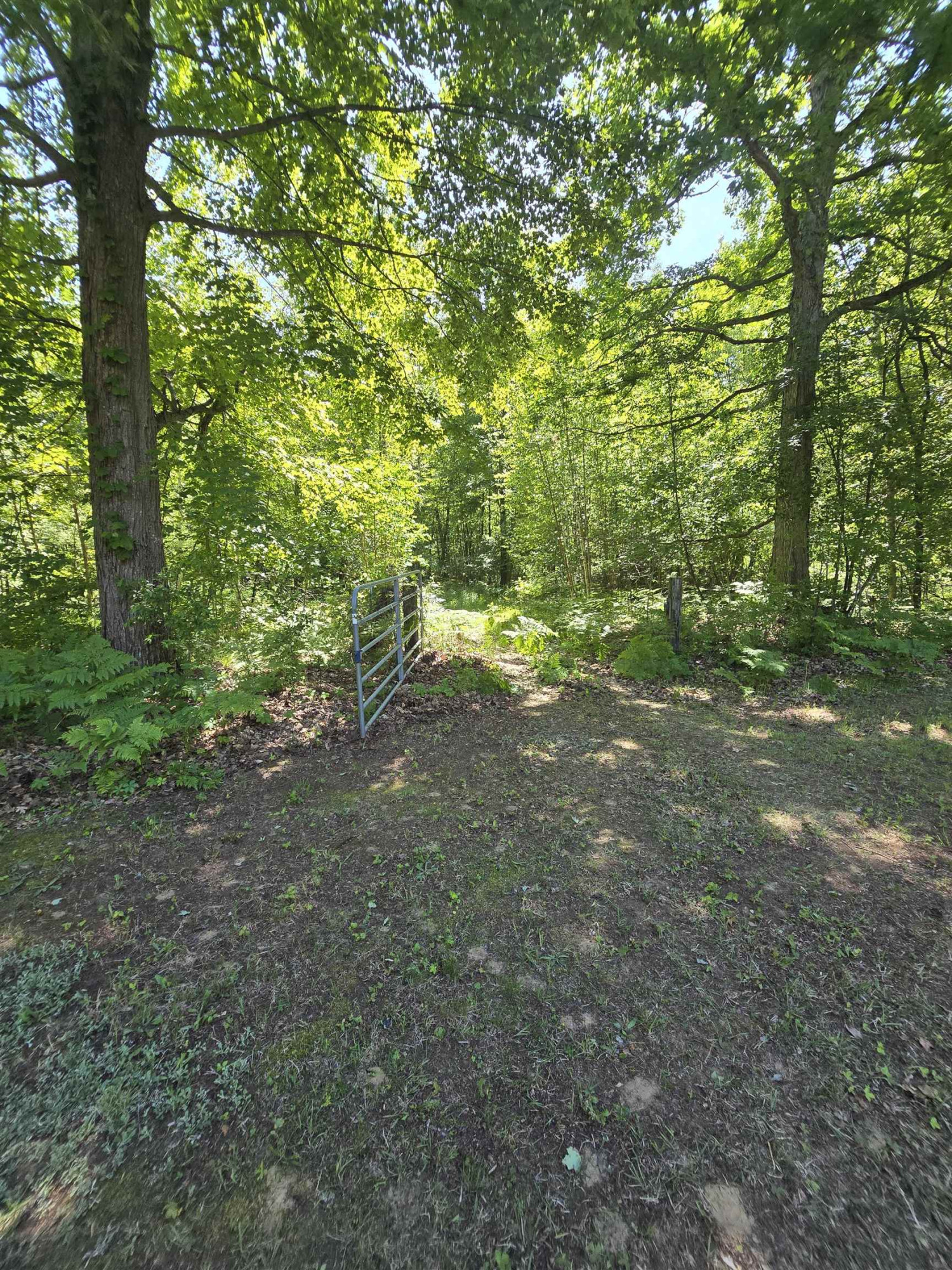 5691 Ormes Road, Vassar, MI 48768 — Photo 59
