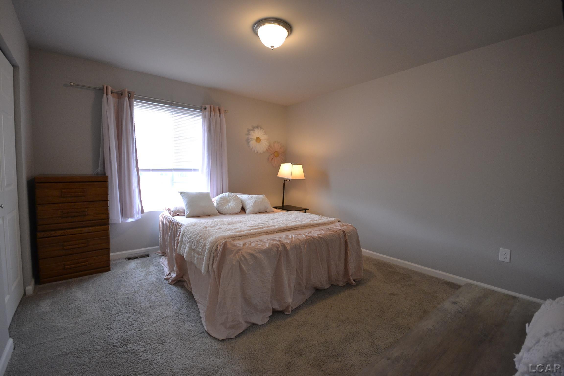 3539 Crestone Way Road, Tecumseh, MI 49286 — Photo 12