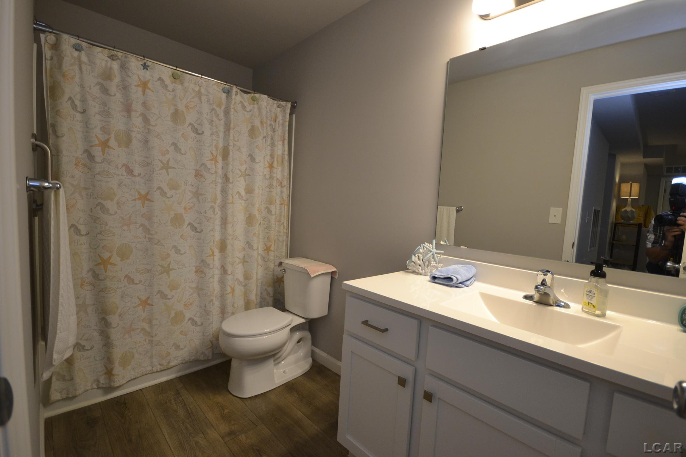 3539 Crestone Way Road, Tecumseh, MI 49286 — Photo 18