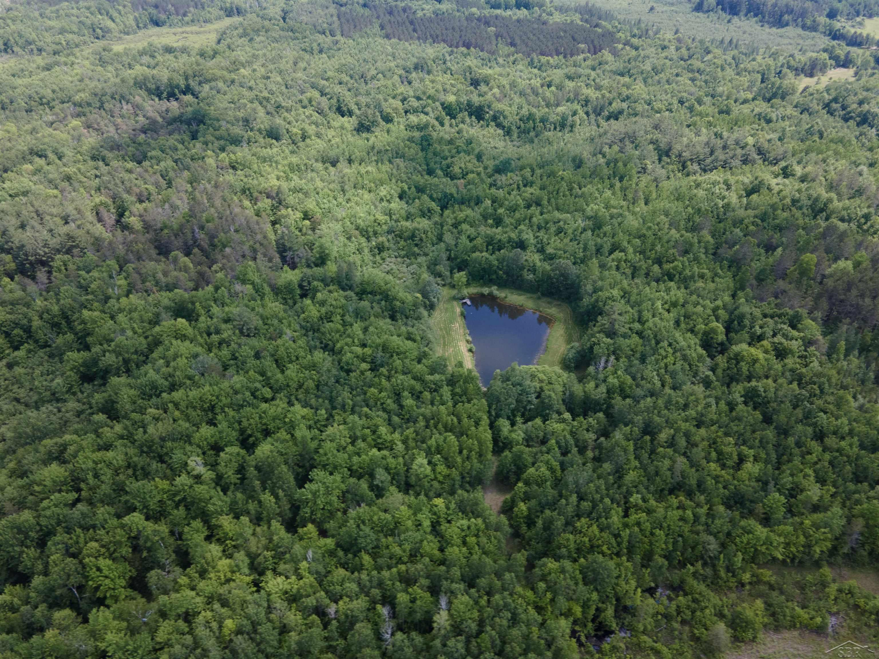 VL W Stockwell Road, Harrison, MI 48625 — Photo 19