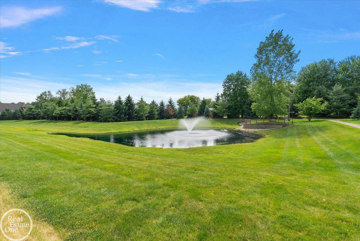 62861 Franklin Park Drive, Unit #29, MI — Photo 5