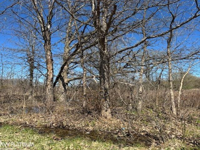 0 Petz Road, Imlay City, MI 48444 — Photo 2