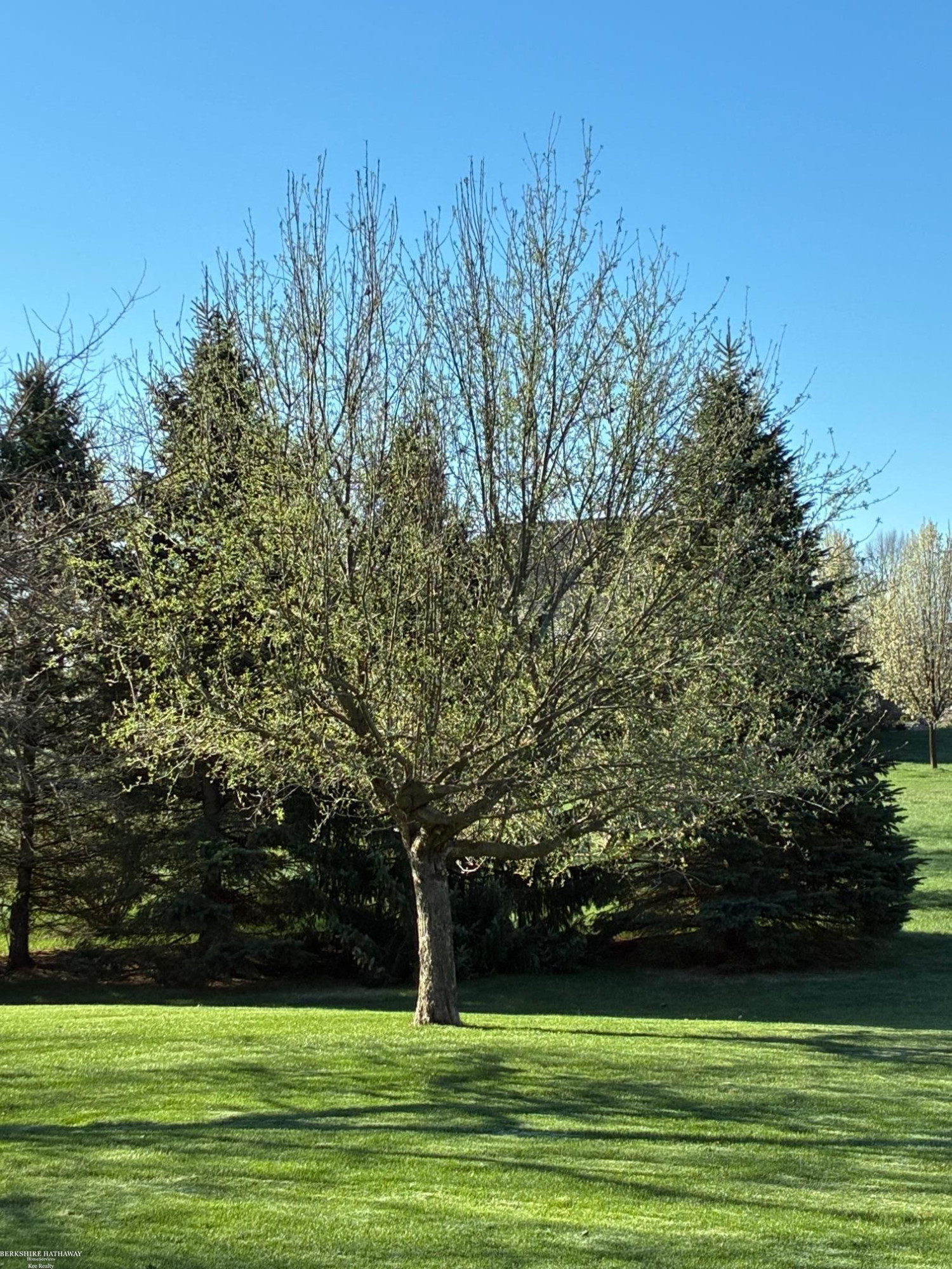 72608 Oxal Point, MI 48065 — Photo 46